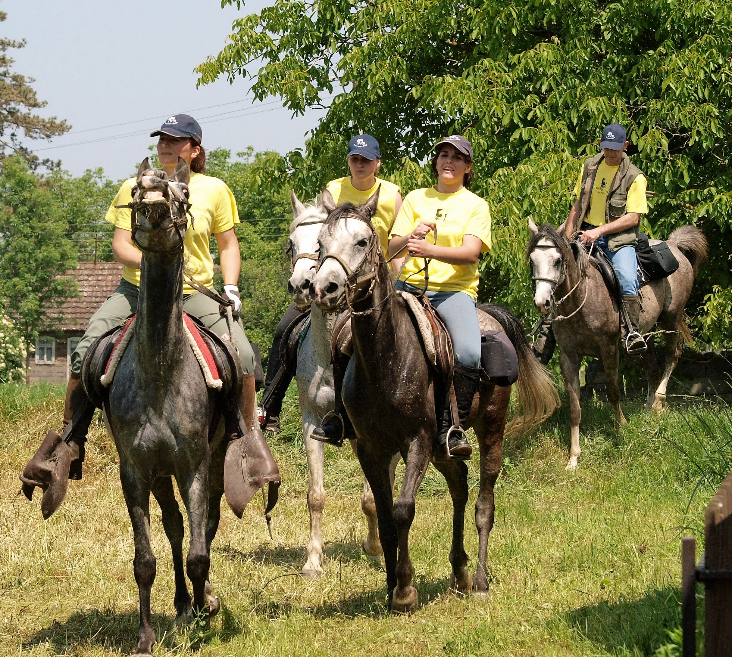 lonjsko polje - team building - slika 3