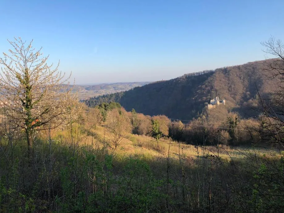 građevinsko i poljoprivredvno zemljište, samobor, vrhovčak, 33.704 m2 - slika 2