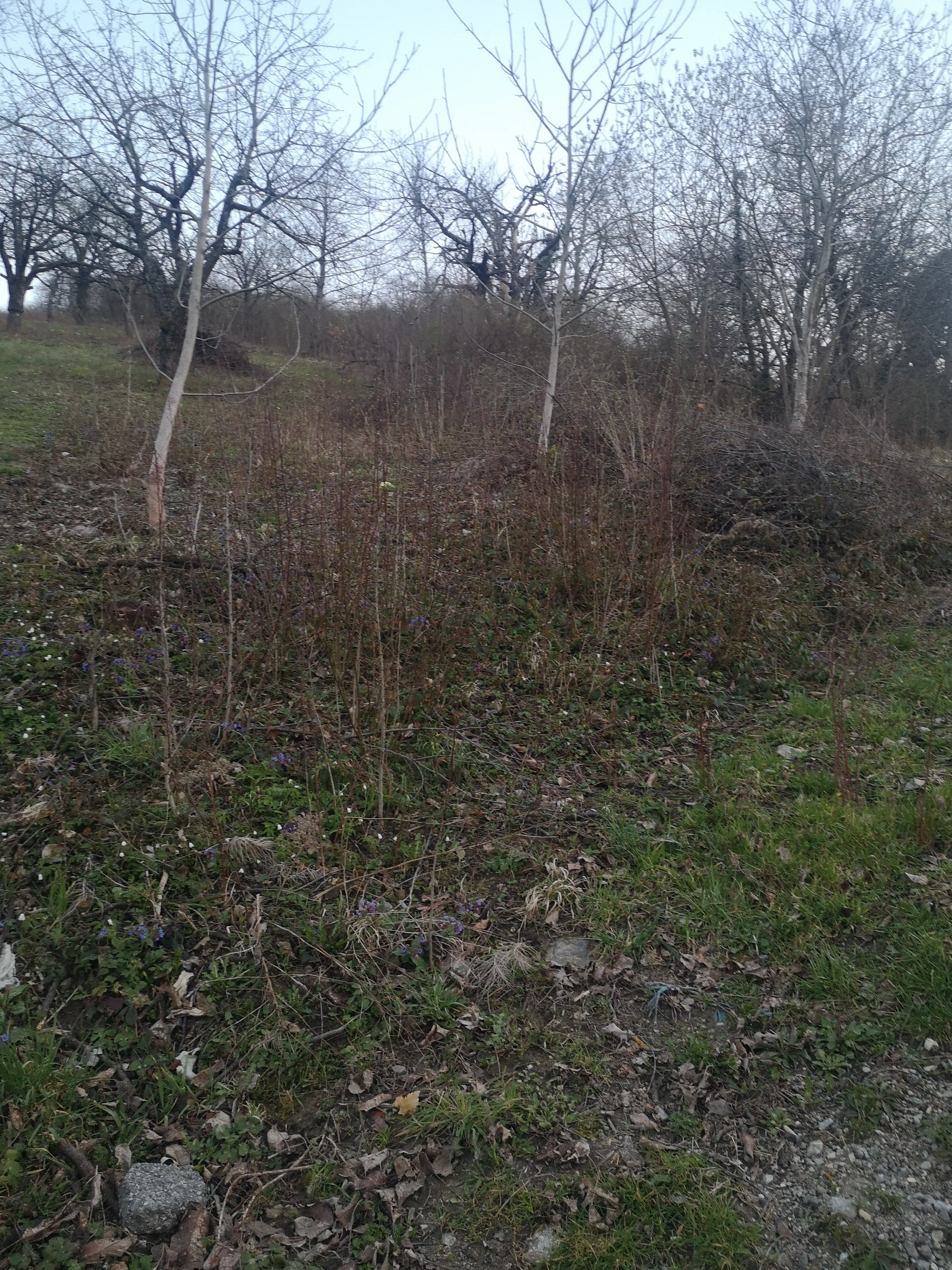 gradilište-voćnjak 1119 m2 markuševec****prodaja-zamjena**** - slika 27