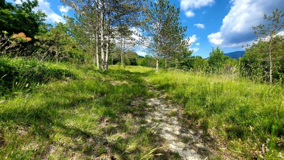 građevinsko zemljište, boljun, 44000 m2 - slika 3