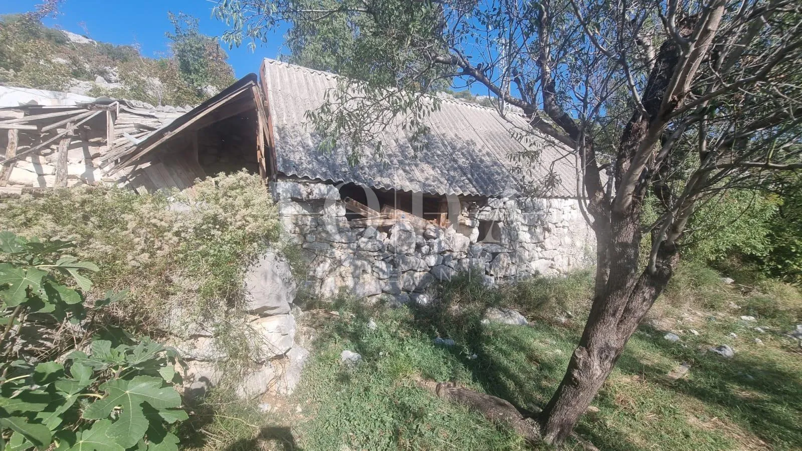 lukovo šugarje zemljište sa starinom - slika 11