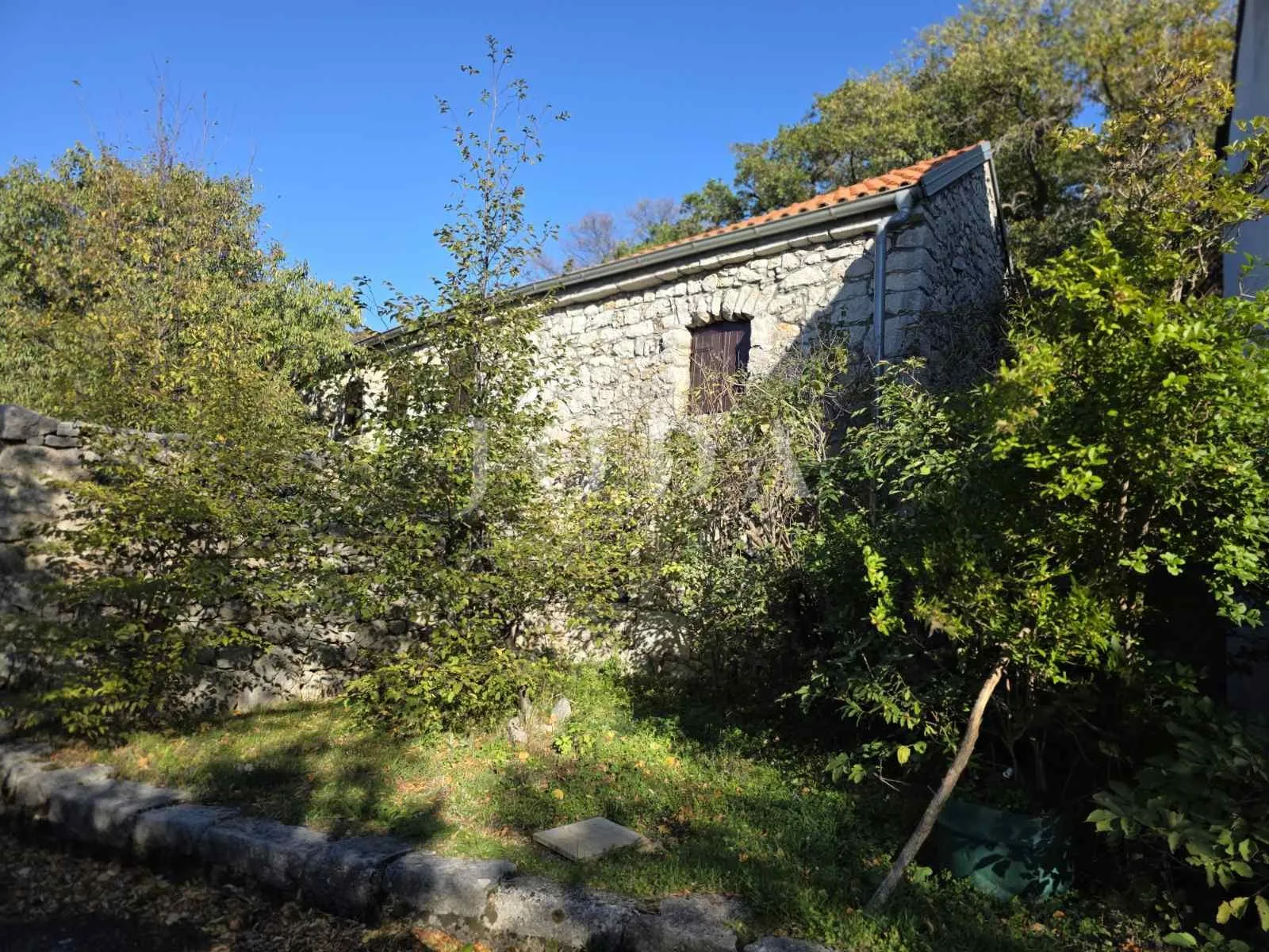 novi vinodolski, zaleđe, dvije kuće sa velikom okućnicom - slika 3