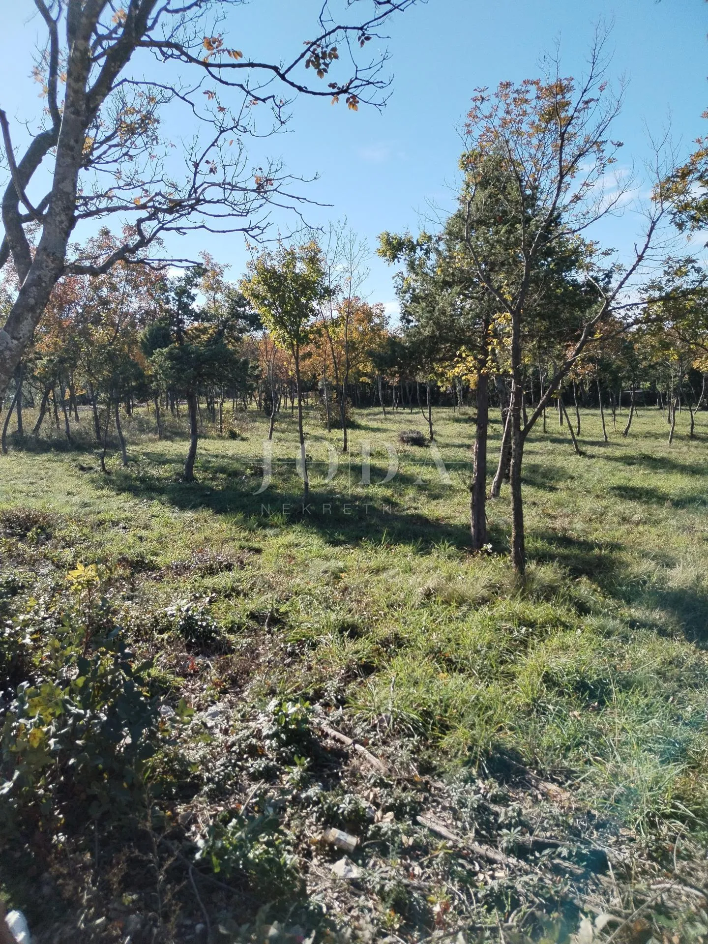 barban, okolica, građevinsko zemljište - slika 3