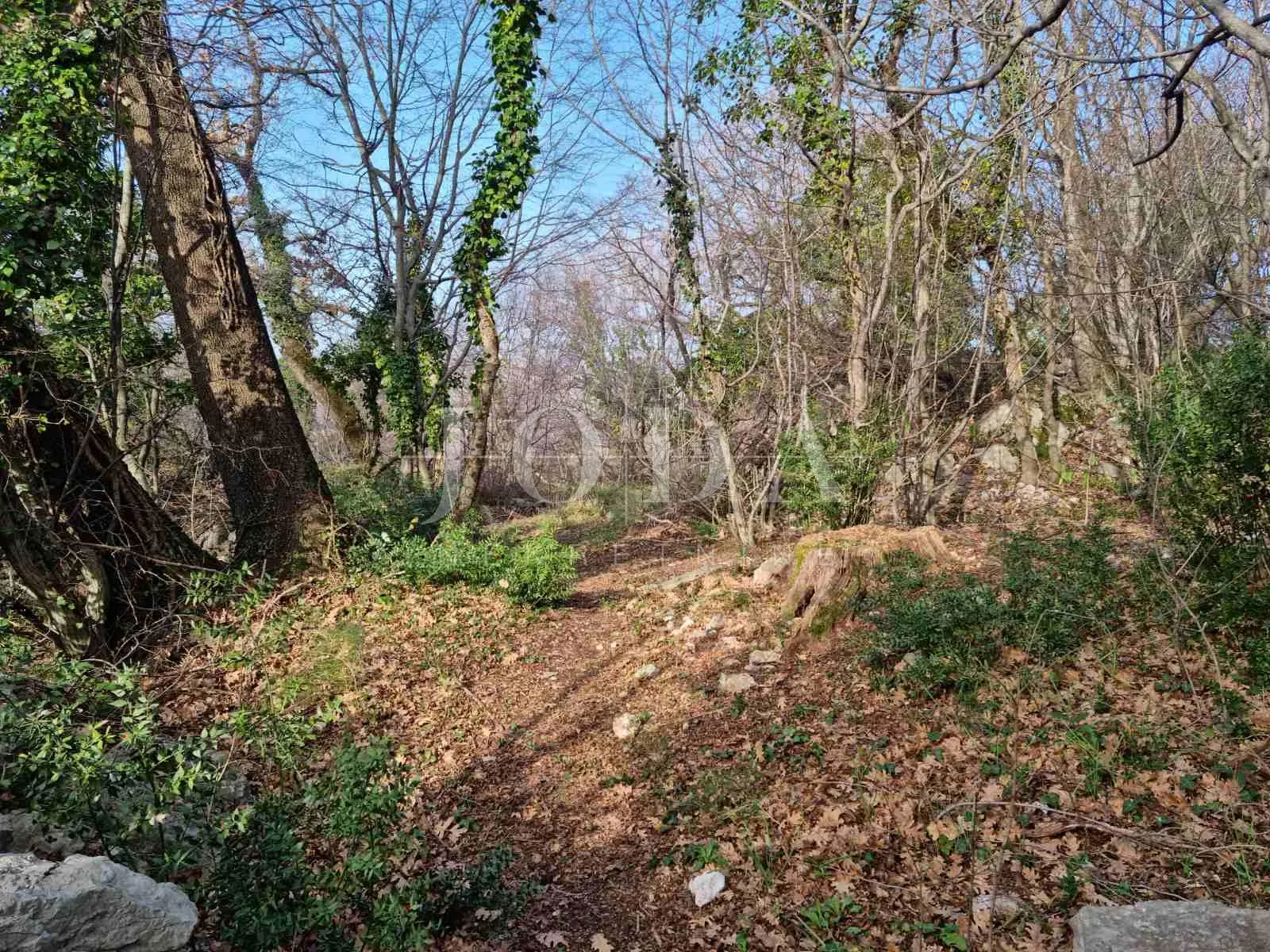 bribir, građevinski teren 806 m2 sa pogledom - slika 4