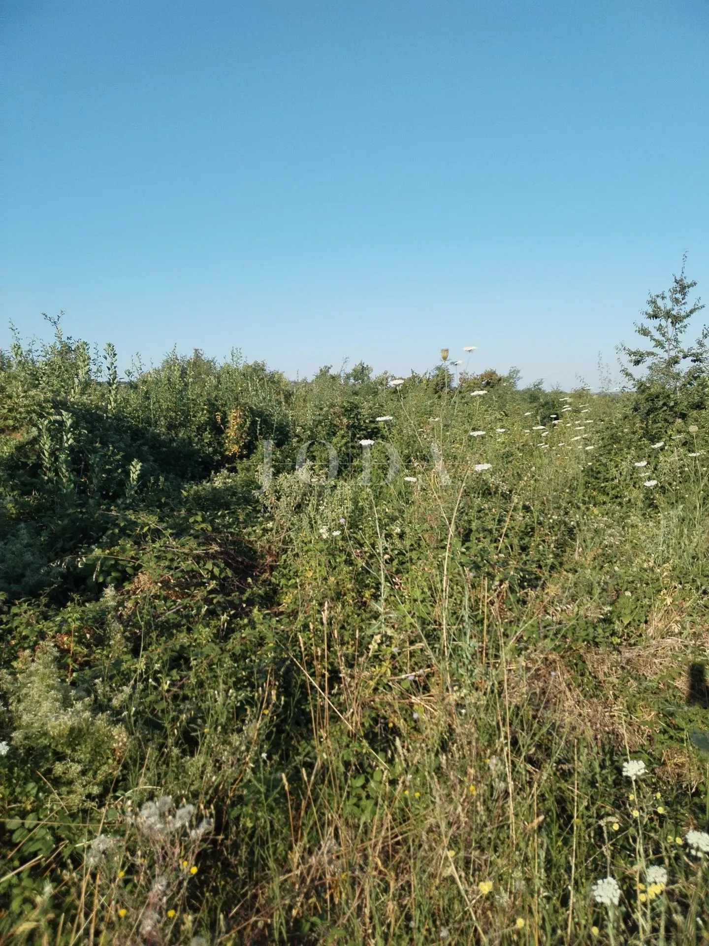 labin, građevinsko zemljište na traženoj lokaciji - slika 3
