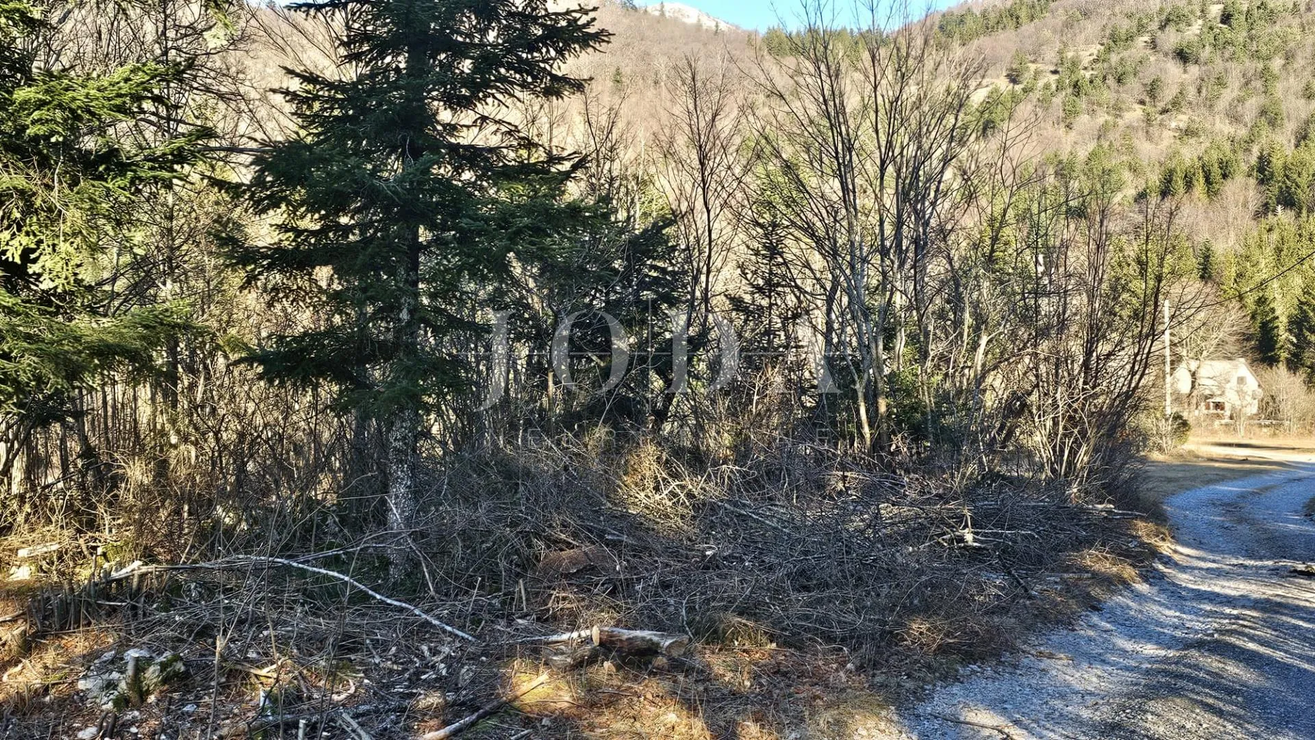 vikendica - maševo sa velikom okućnicom - slika 15