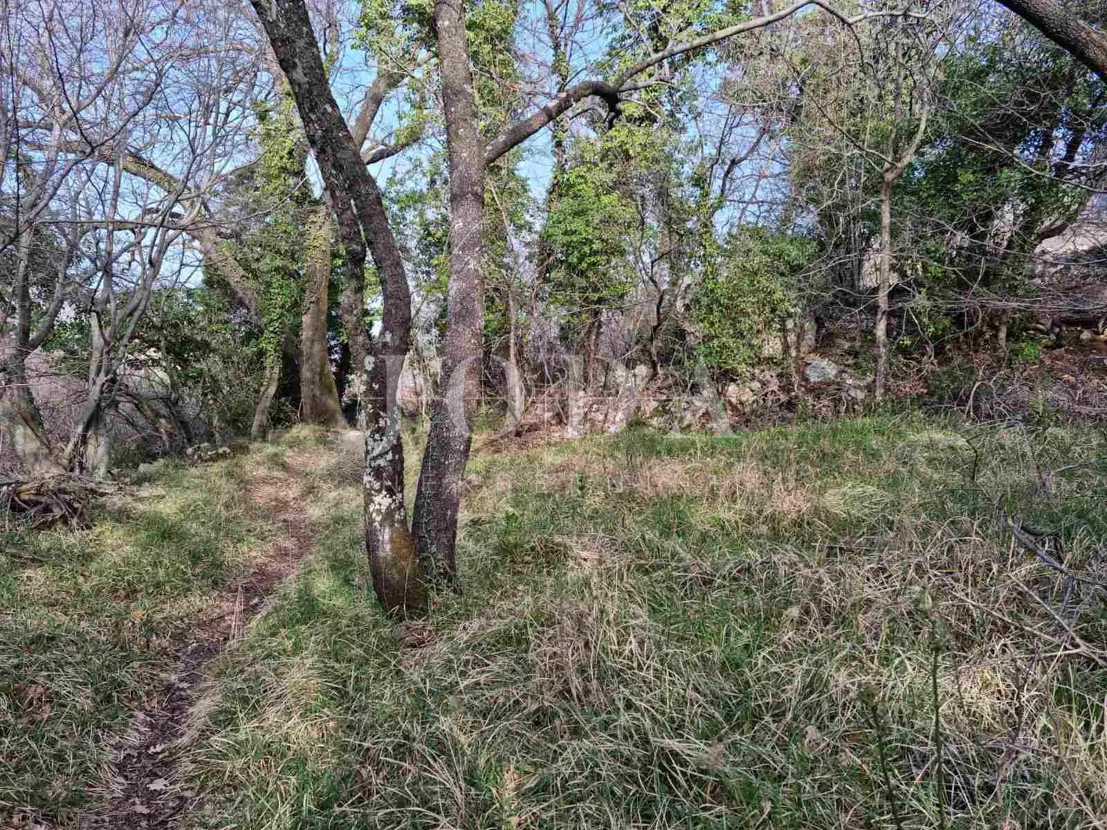 bribir, građevinski teren 806 m2 sa pogledom - slika 8