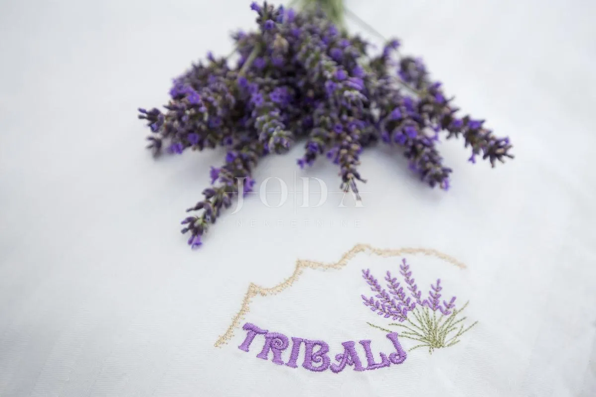 tribalj kuća s bazenom - slika 20