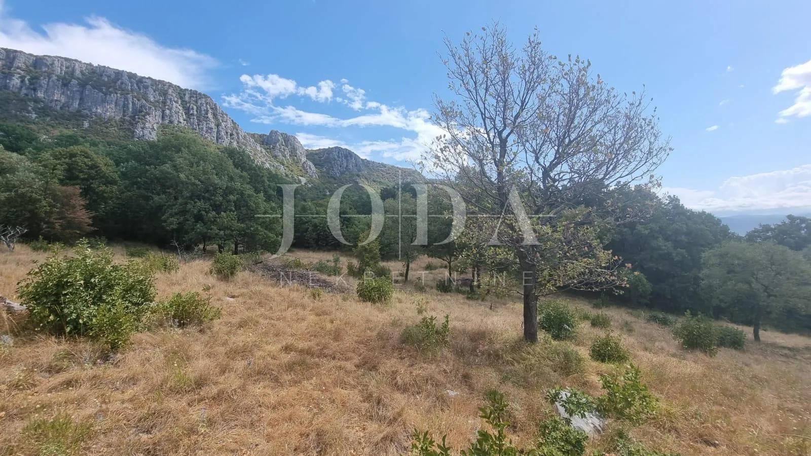 građevinsko zemljište 12000m2 u bribiru sa pogledom na more - slika 7