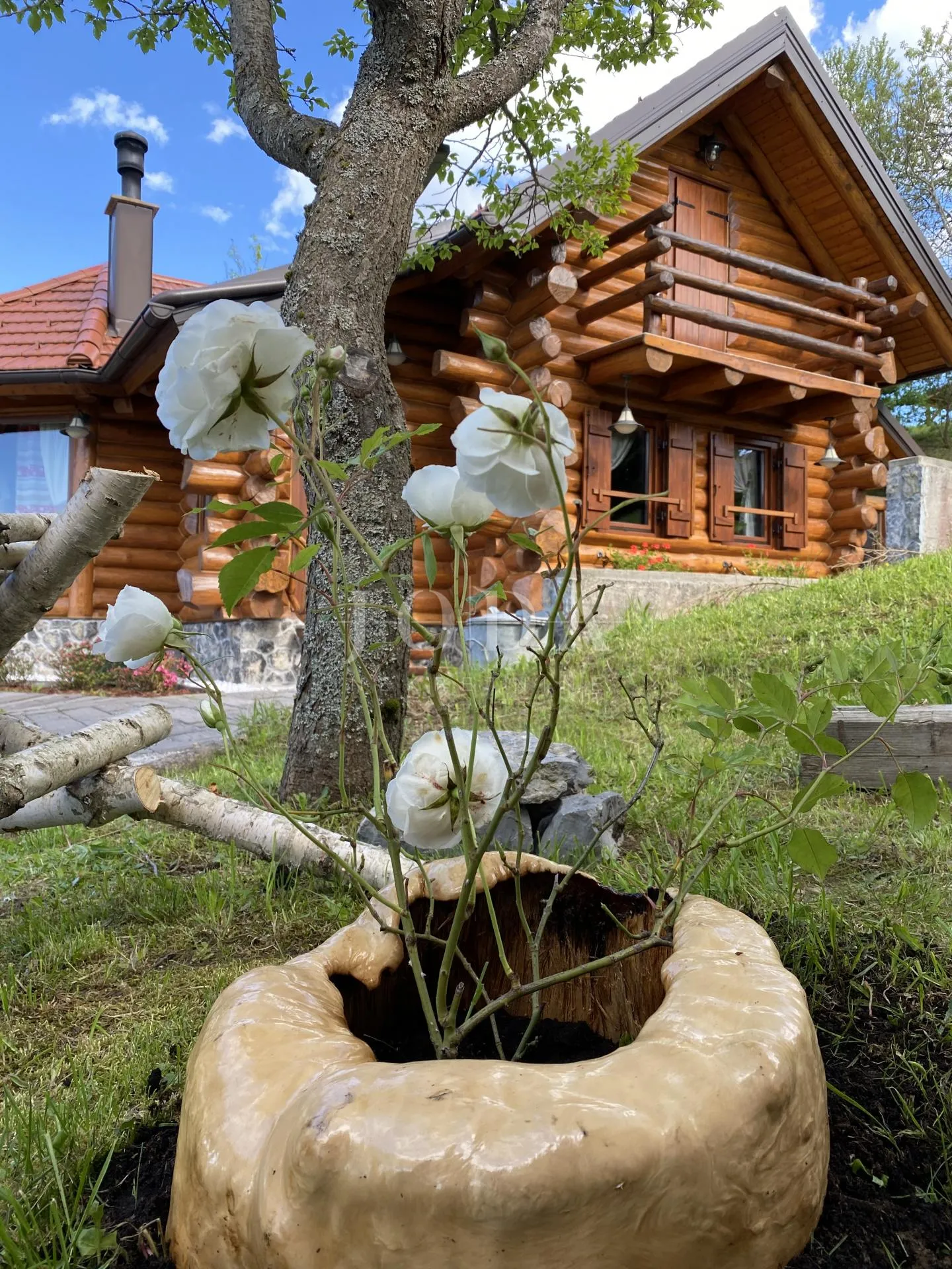 kupjak imanje na prodaju - slika 68