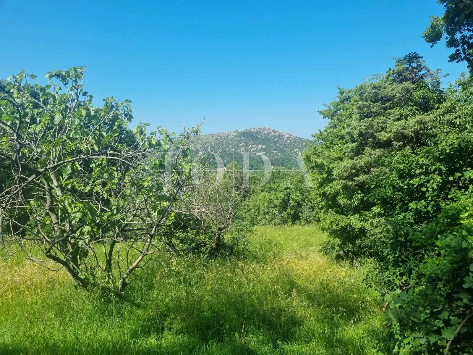 bribir, građevinski teren 3567m2 - slika 2
