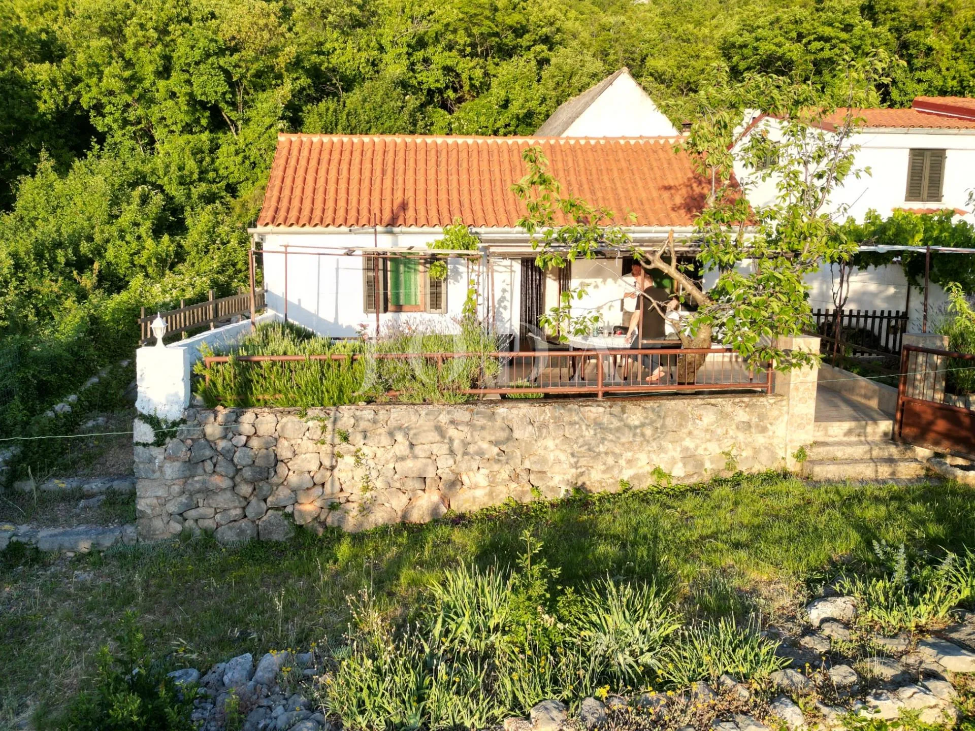 starigrad kuća u parku prirode - slika 2