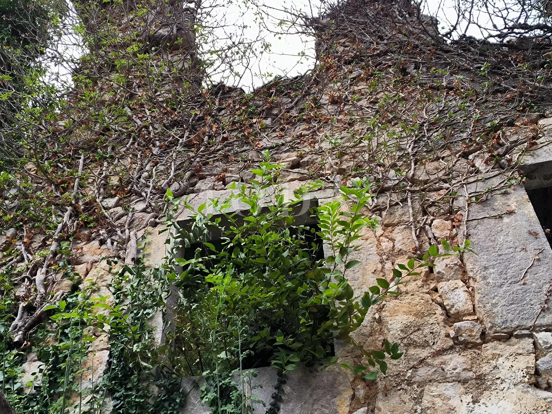 kuća sa dva adaptirana apartmana i starina za adaptaciju - slika 6