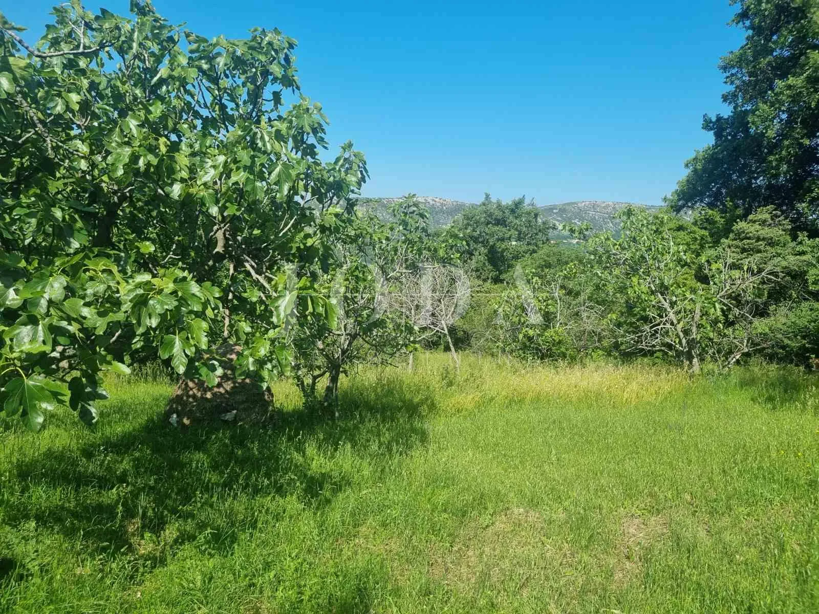 Bribir, građevinski teren 3567m2 - Bribir, Vinodolska općina
