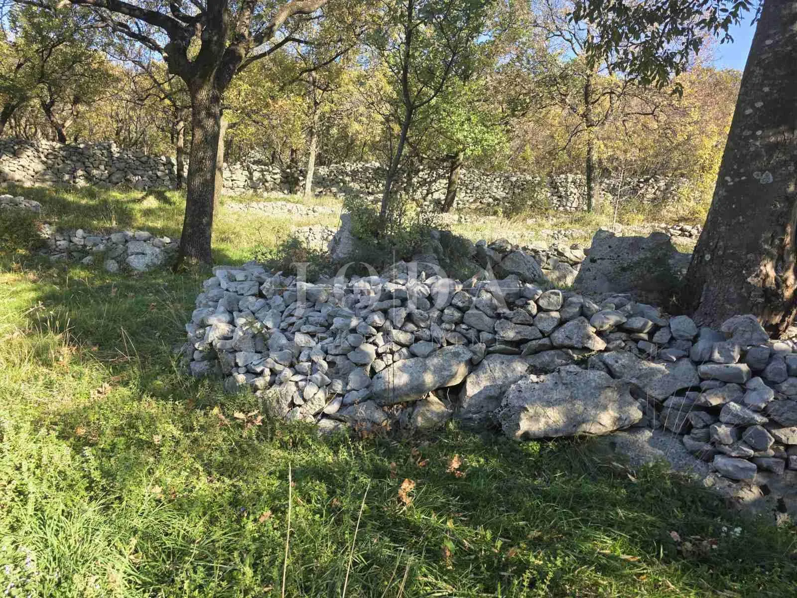 novi vinodolski, zaleđe, dvije kuće sa velikom okućnicom - slika 10