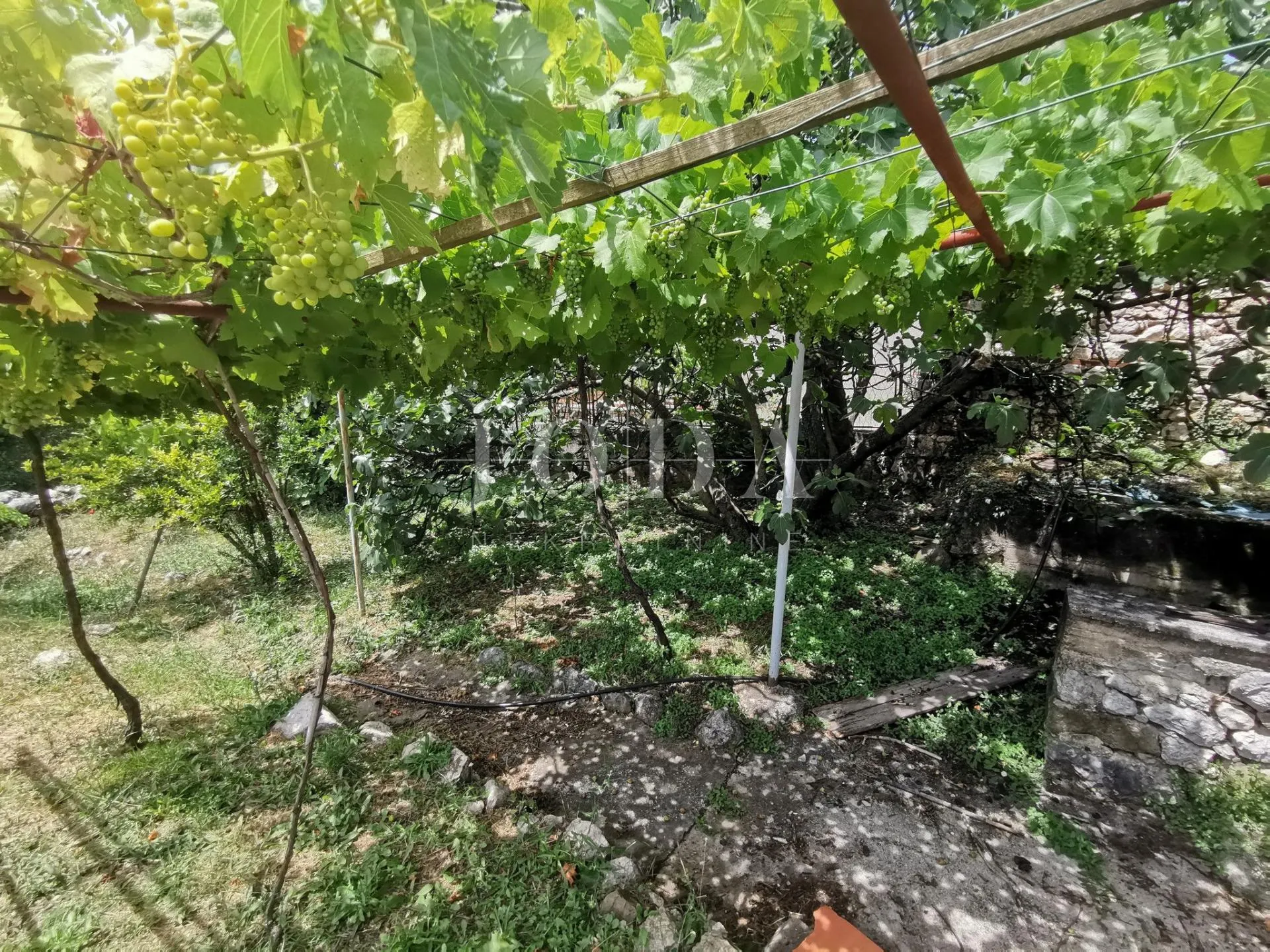 grižane obiteljsko imanje na prodaju - slika 28