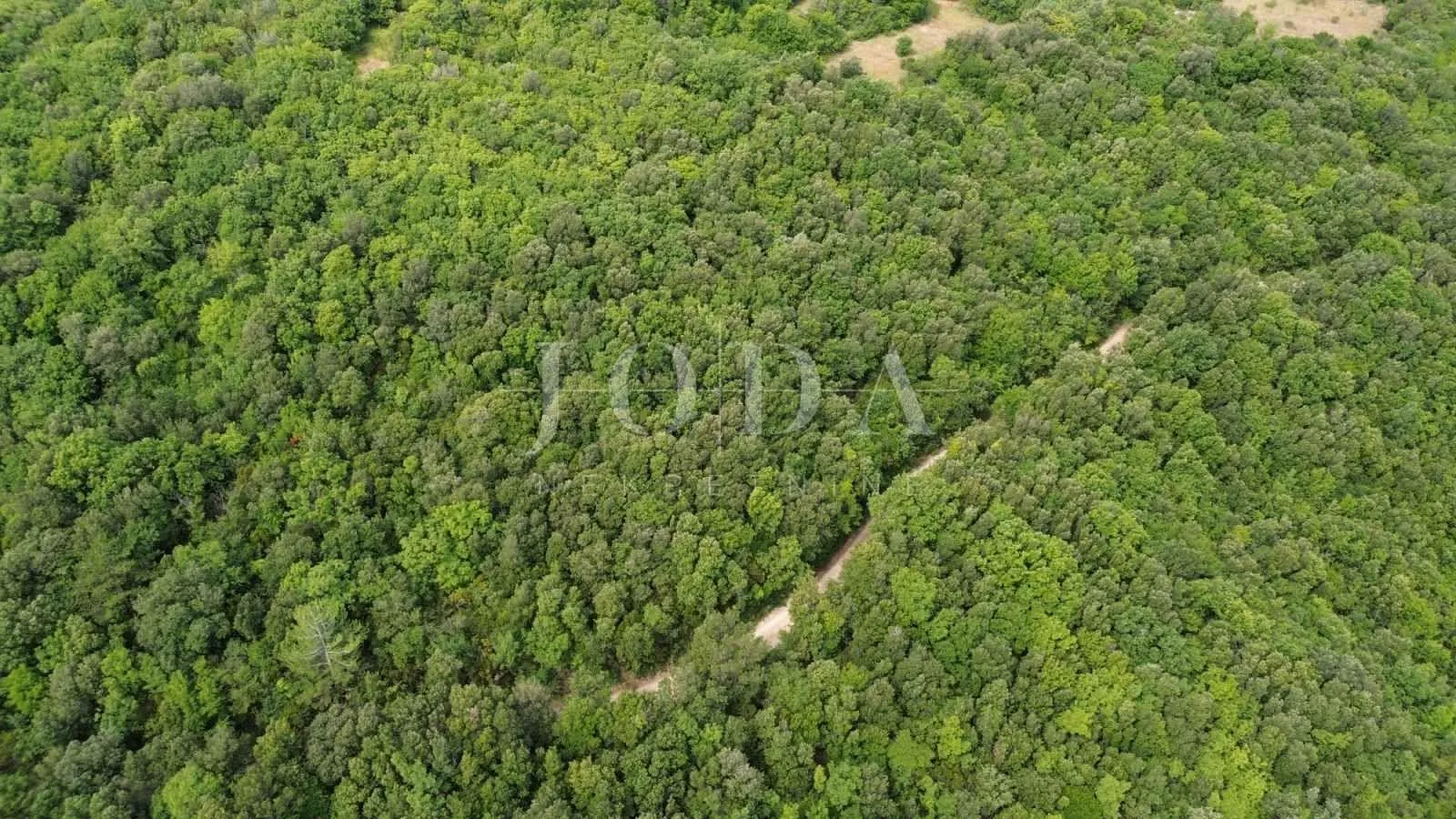 prekrasno zemljište šuma 65.700m2,labin okolica - slika 2