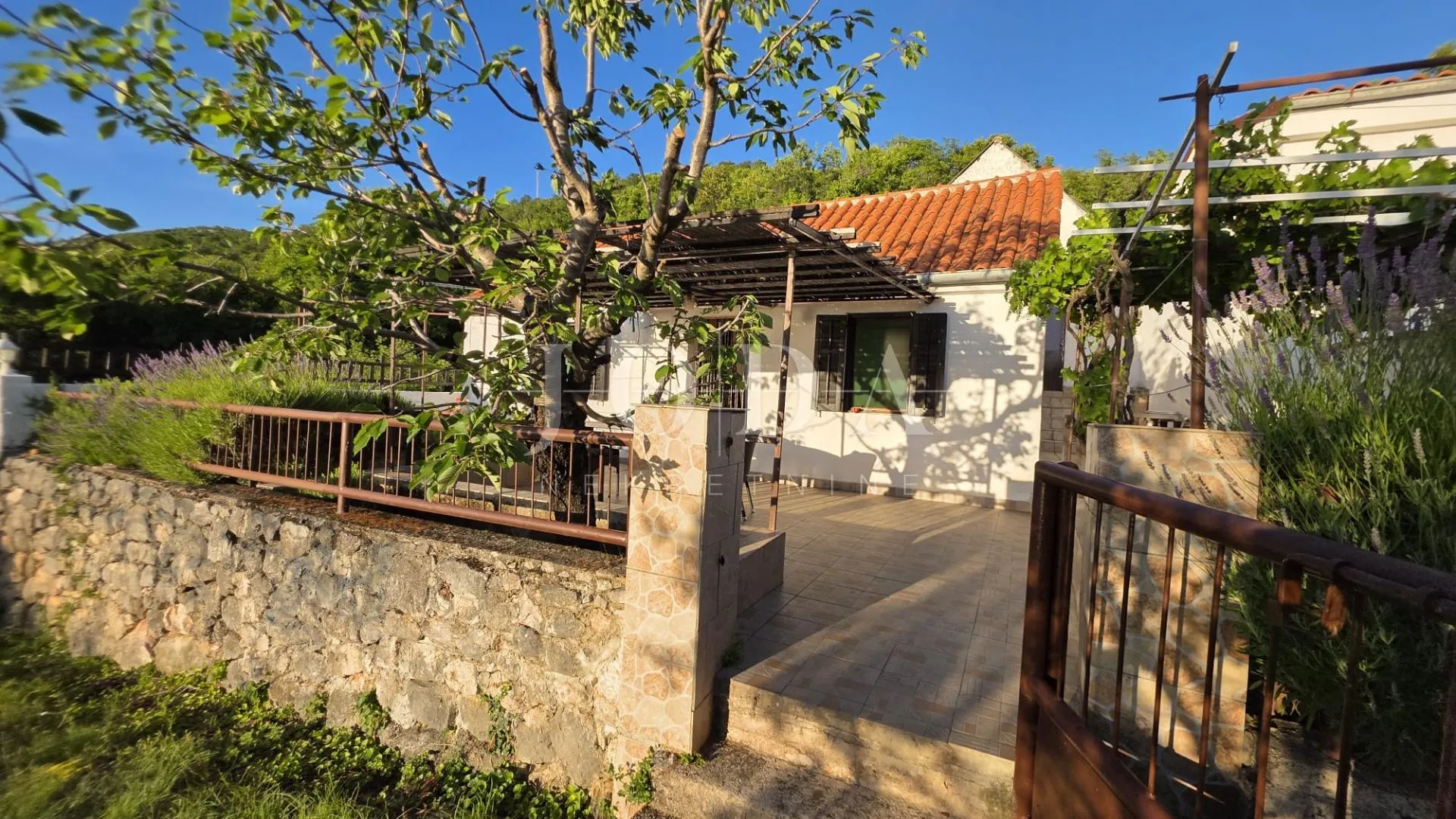 starigrad kuća u parku prirode - slika 16