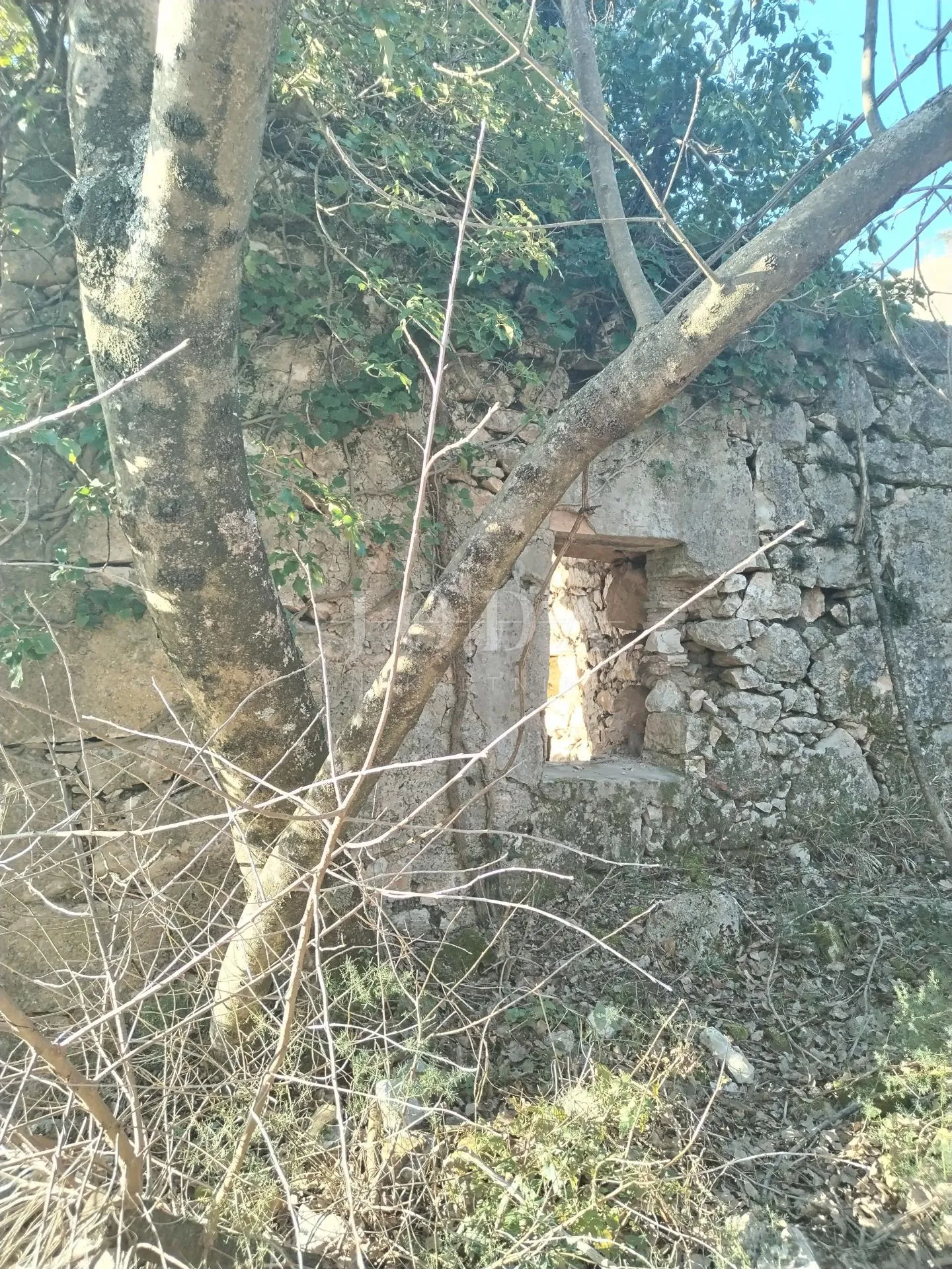 plomin, okolica, dvije ruševine sa očaravajućim pogledom na more - slika 7
