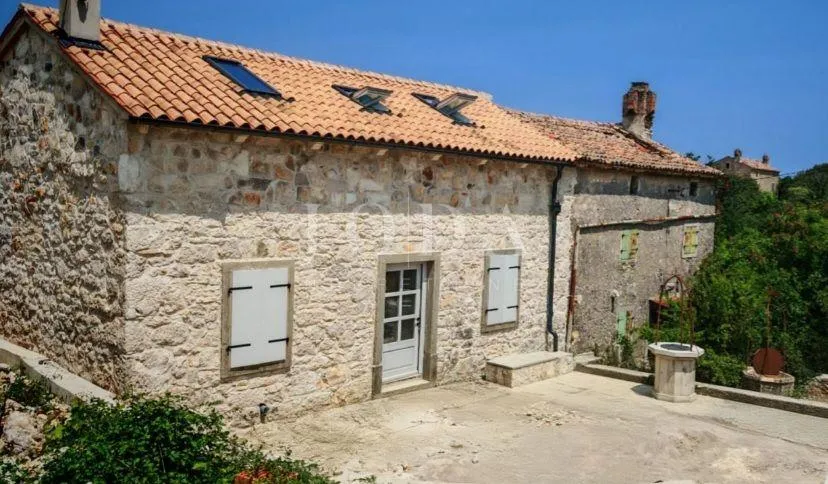 prekrasna kompletno renovirana kamena kuća,skitača - slika 8