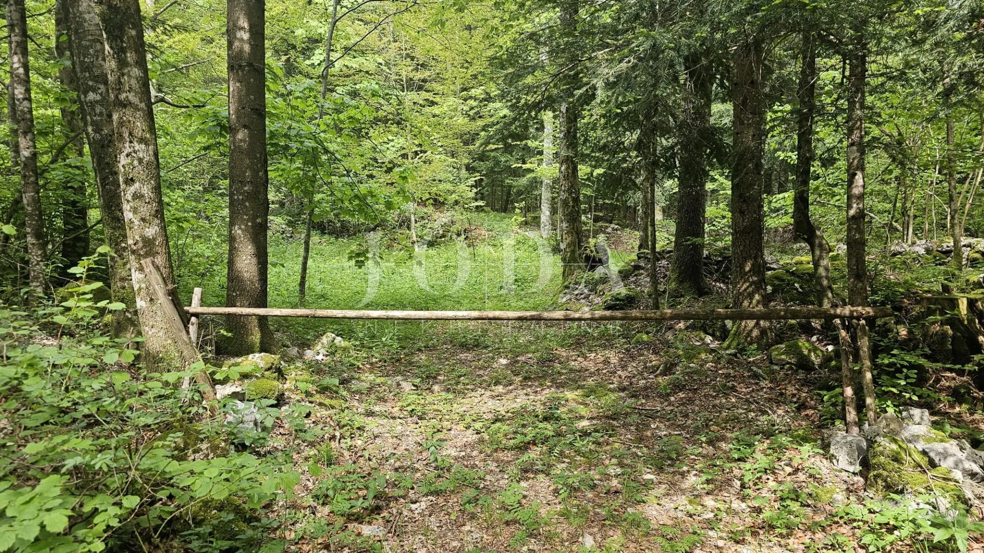 bribirska šuma teren na prodaju - slika 5
