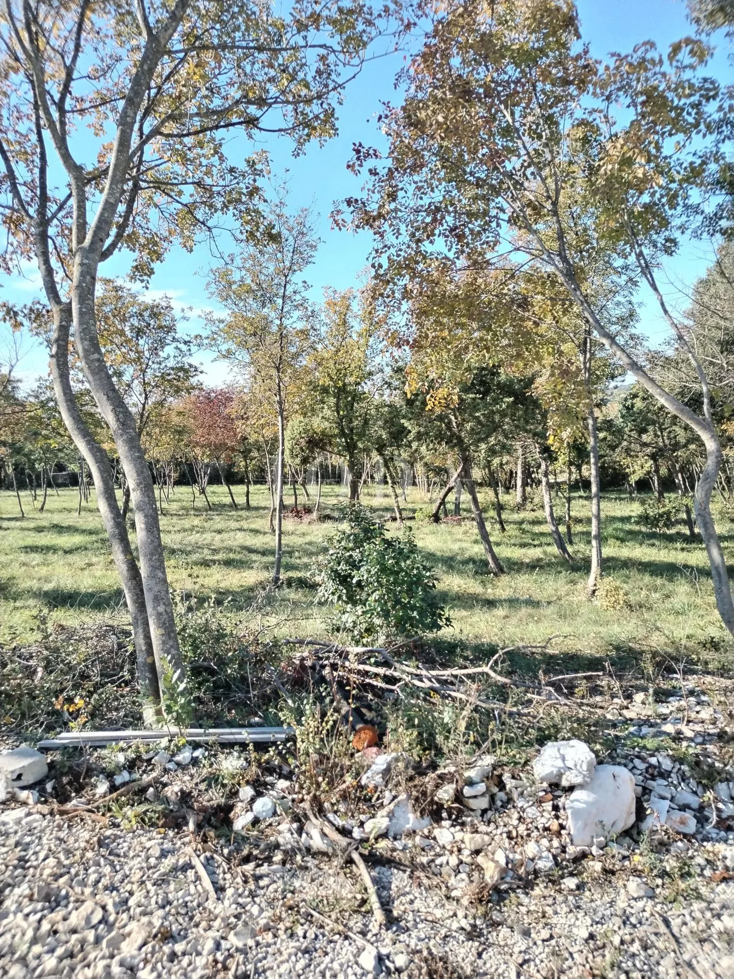 barban, okolica, građevinsko zemljište - slika 6
