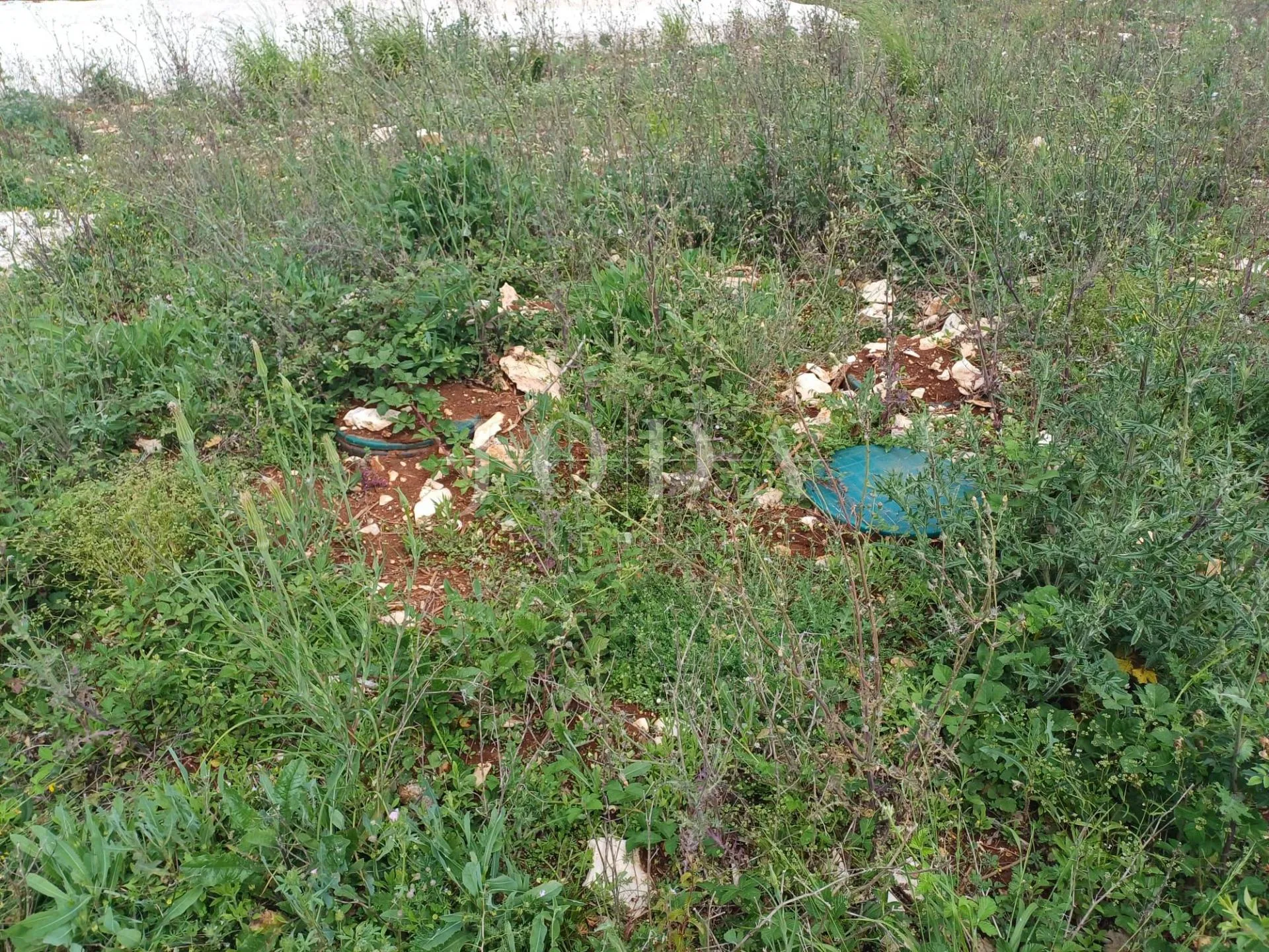 barbariga, vikend parcele na svega dva kilometara od mora - slika 3