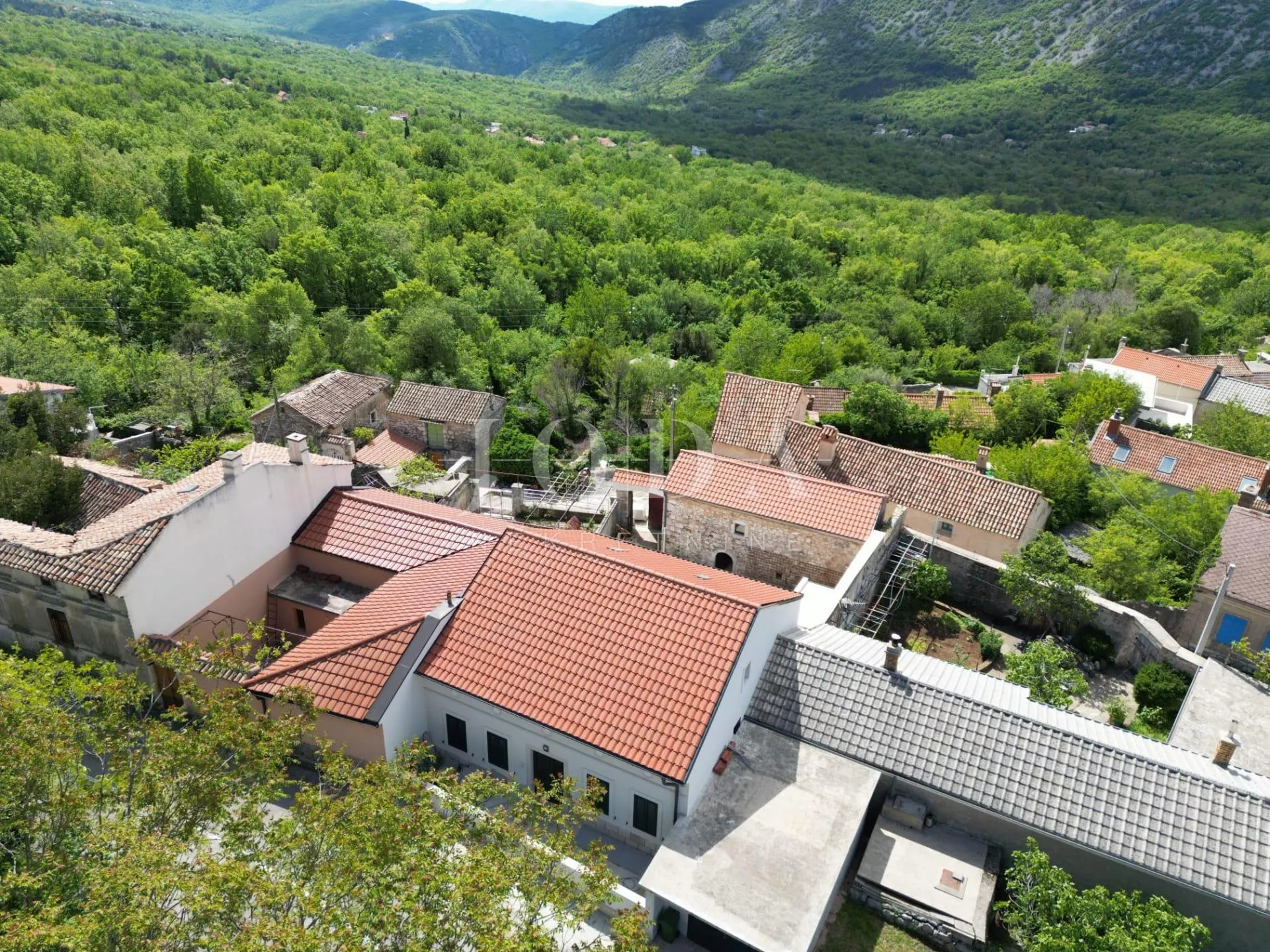 tribalj spoj modernog i autohtonog - slika 5