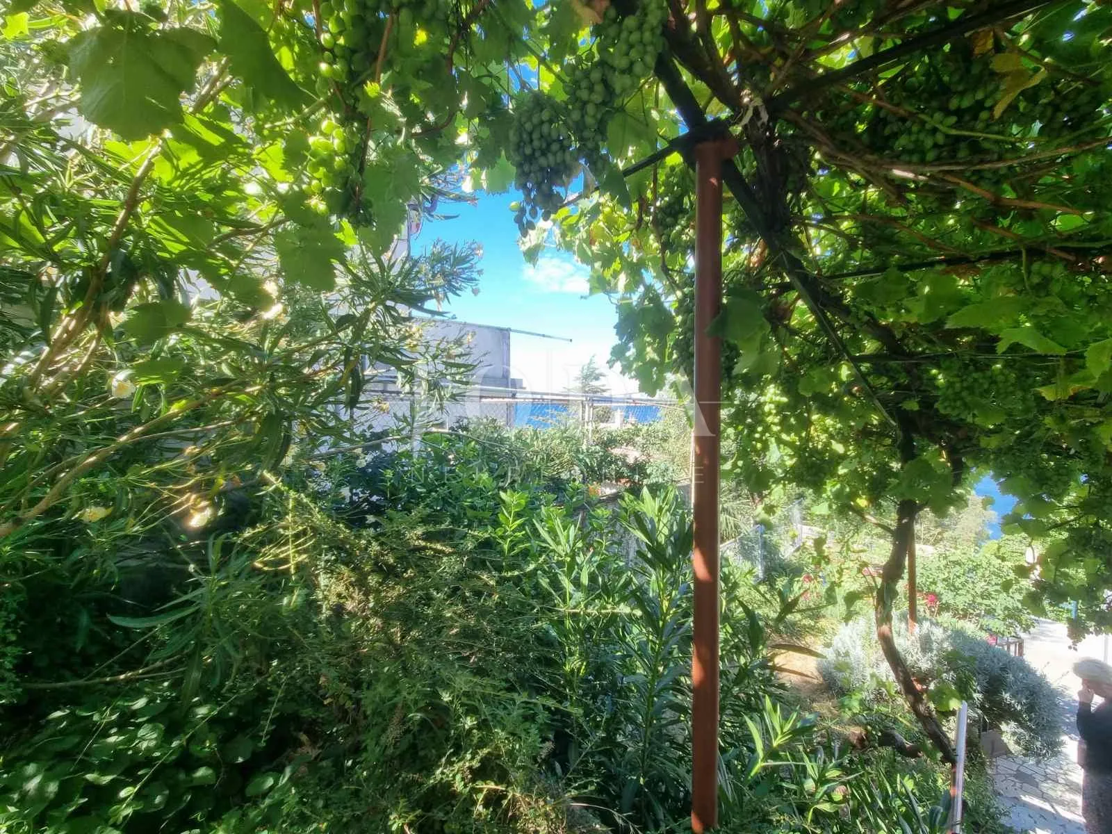 senj, stan na prvom katu, 75 m od mora - slika 20