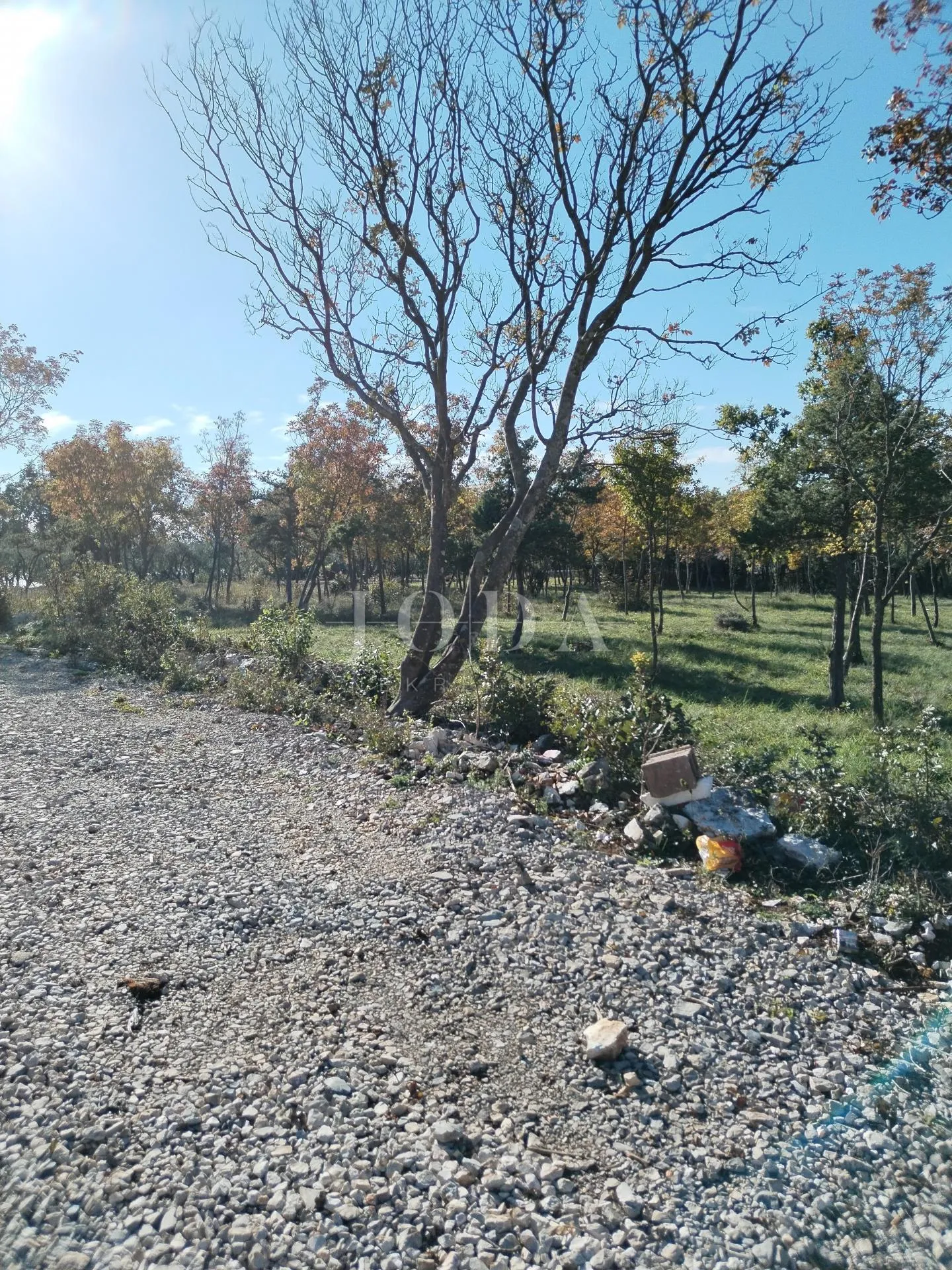 barban, okolica, građevinsko zemljište - slika 2