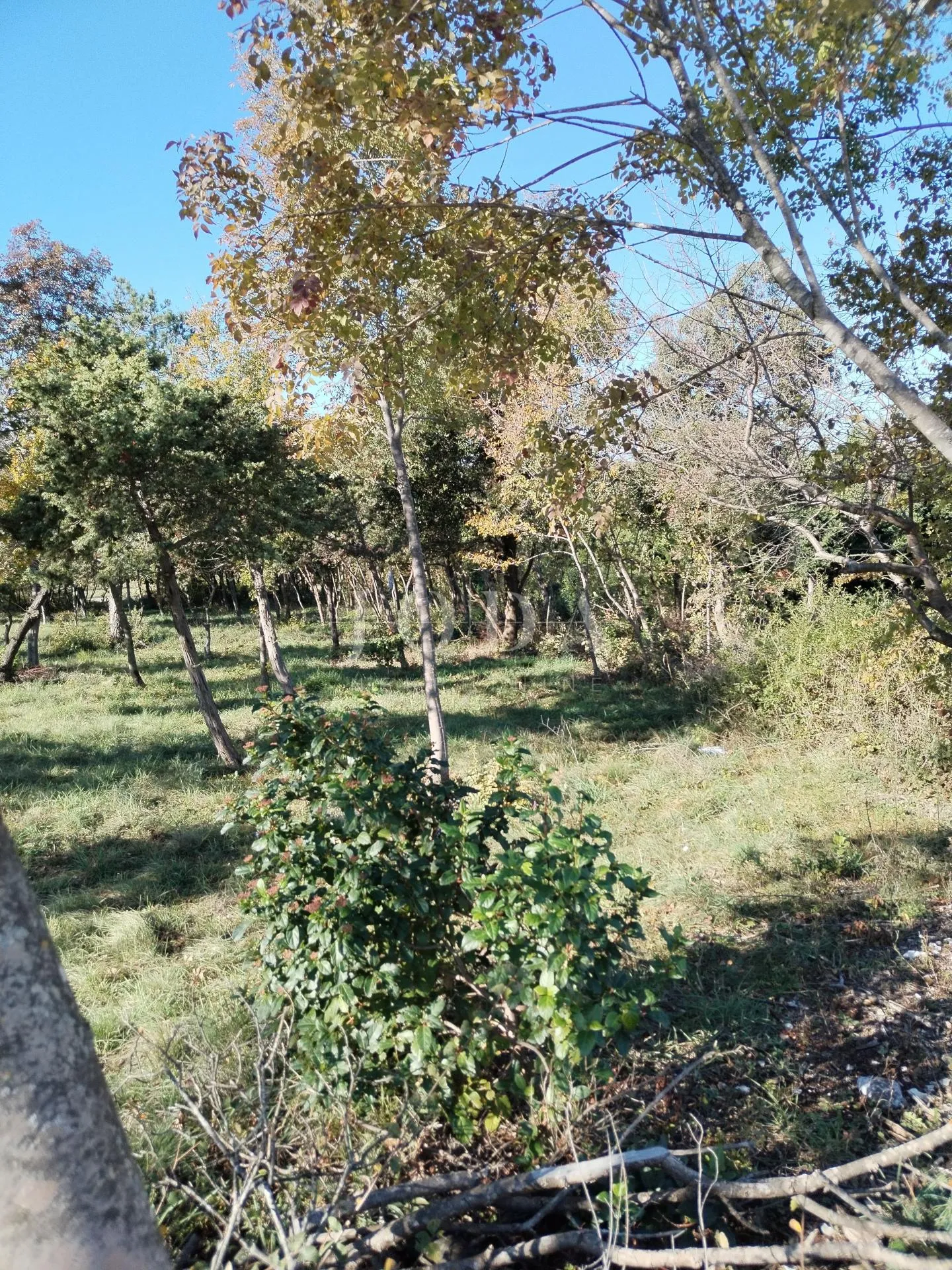 barban, okolica, građevinsko zemljište - slika 6