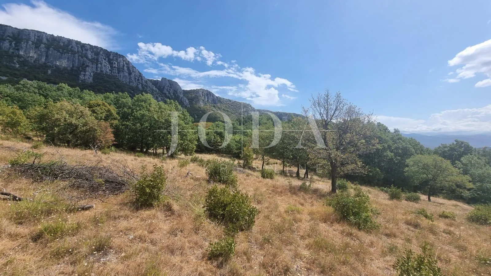 građevinsko zemljište 12000m2 u bribiru sa pogledom na more - slika 8