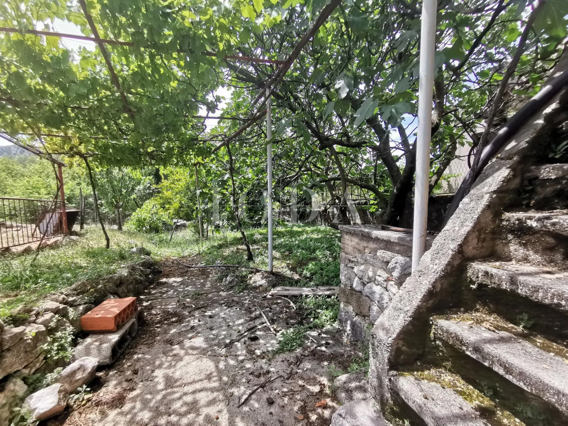 grižane obiteljsko imanje na prodaju - slika 30
