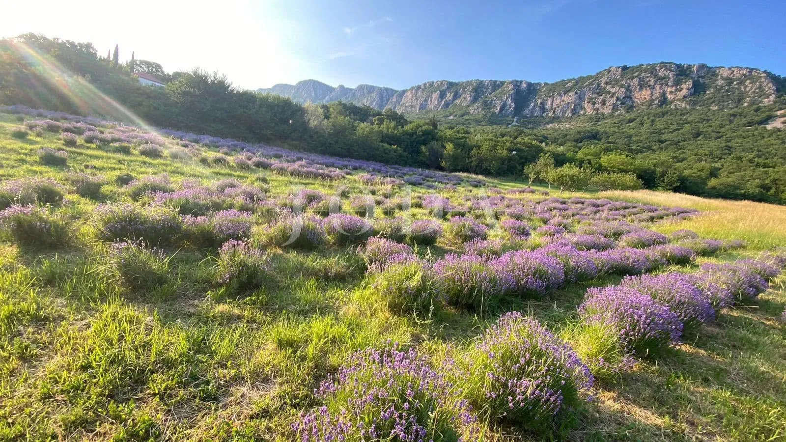 građevinsko zemljište 1.250 m² s dozvolom i temeljima – bribir, pogled more - slika 18