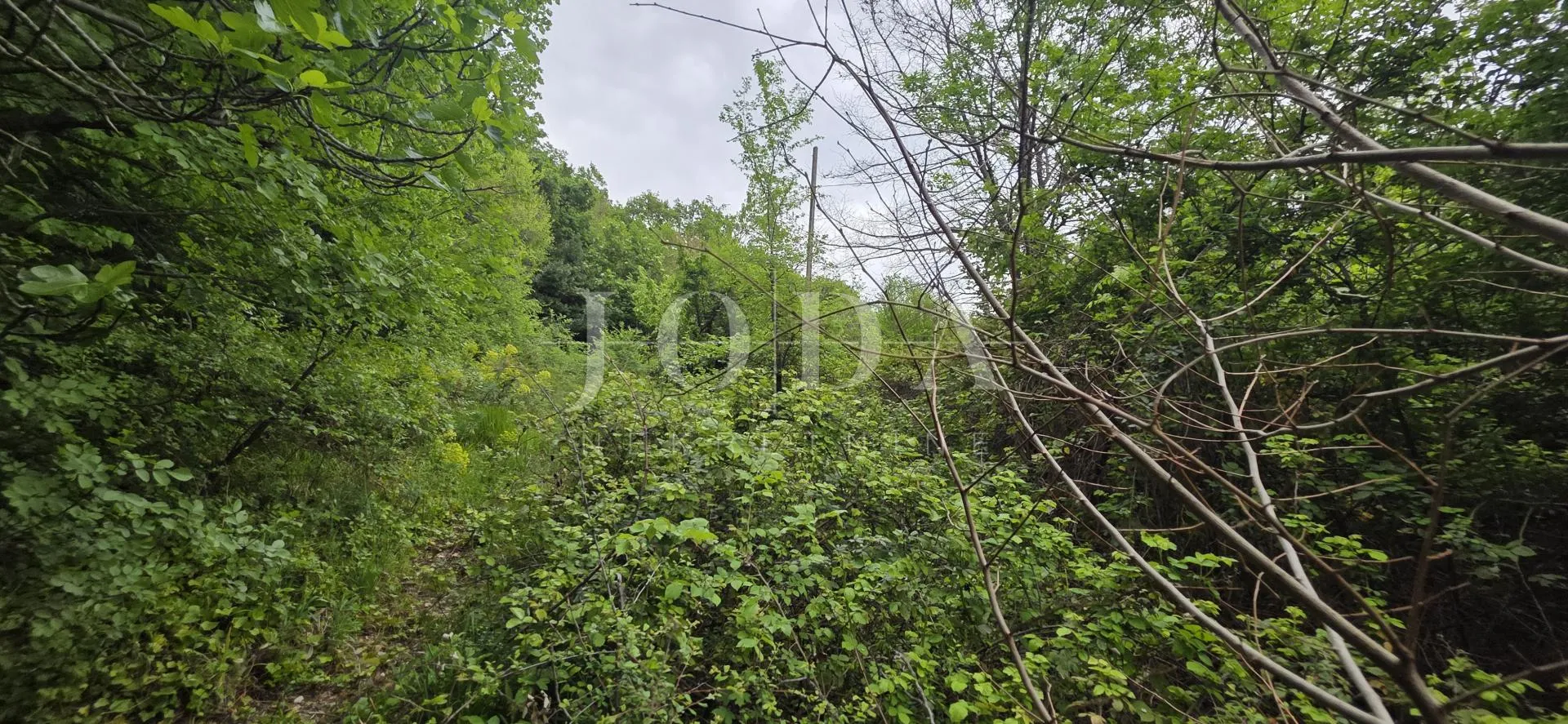 kamena kuća s pogledom na more + dodatna parcela 1400 m² | baretići, grižane - slika 42