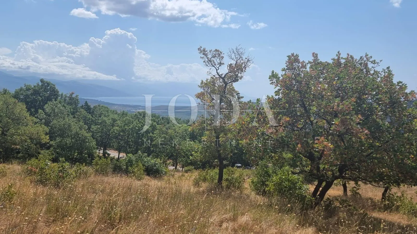 građevinsko zemljište 12000m2 u bribiru sa pogledom na more - slika 6