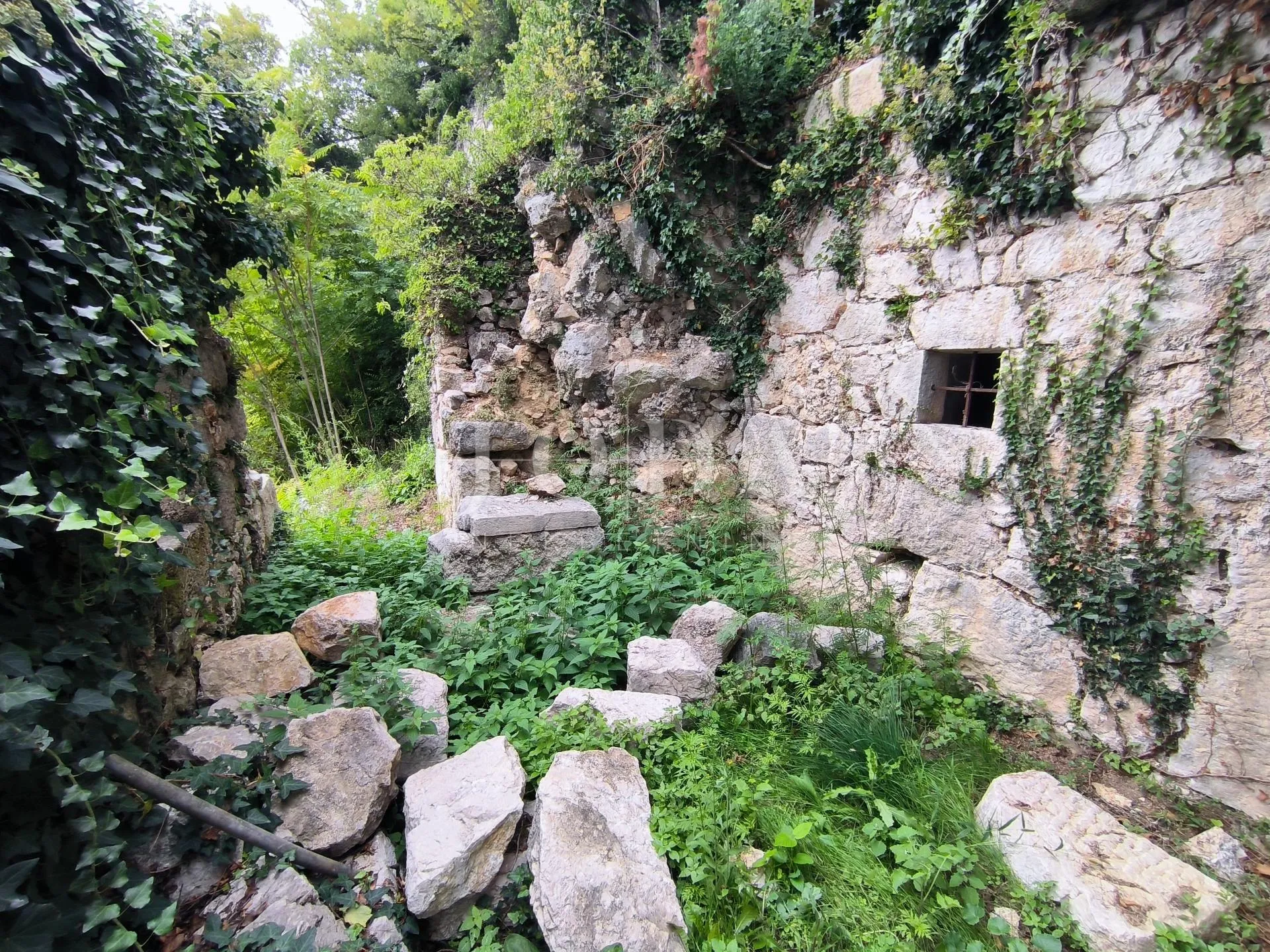 kuća sa dva adaptirana apartmana i starina za adaptaciju - slika 5