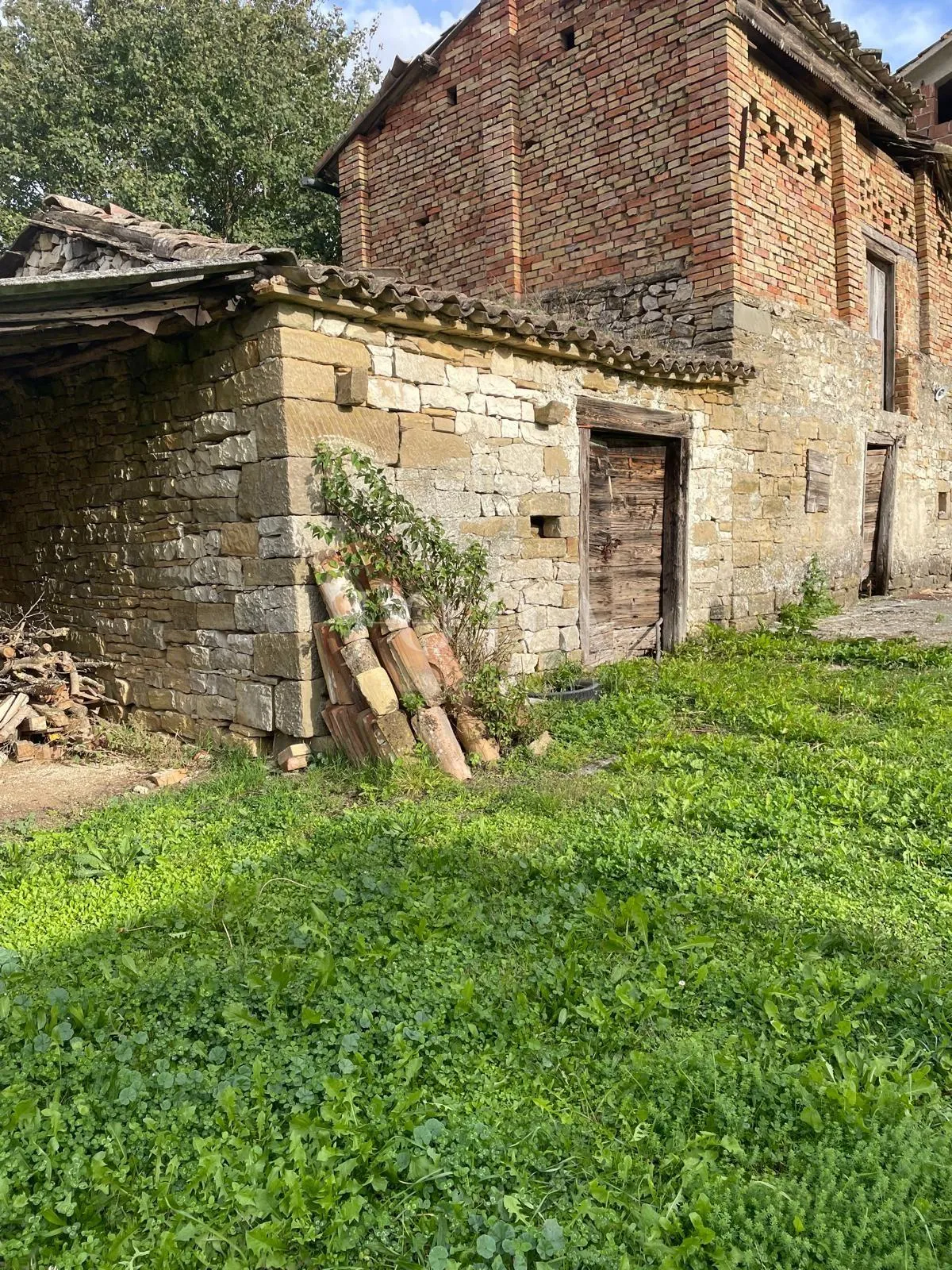 kuća i gosp.objekt na atraktivnom zemljištu 12.800m2,cerovlje okolica - slika 5