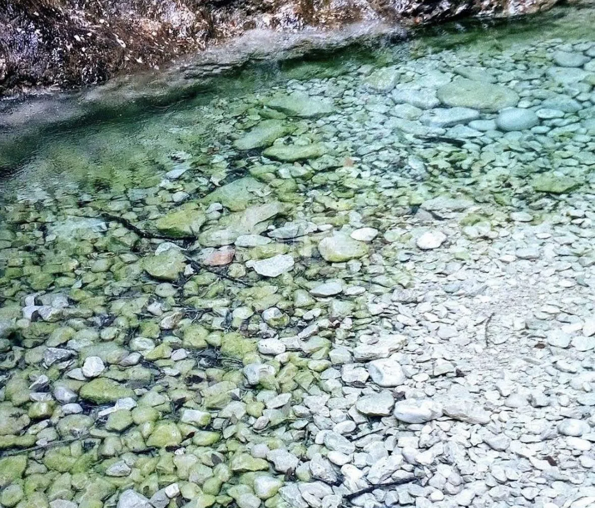 labin, kuća u prirodi, u blizini centra - slika 15