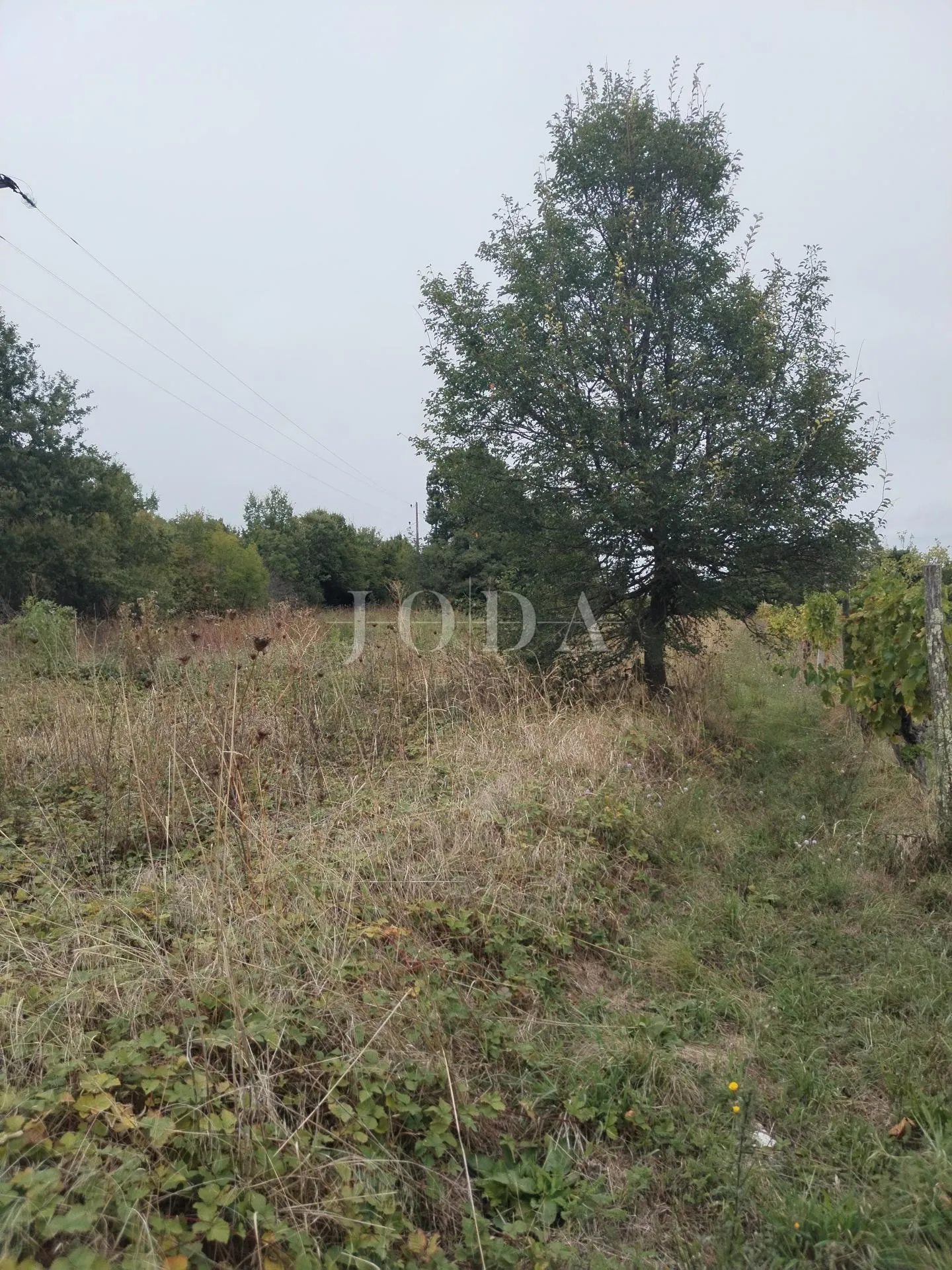 labin, okolica, građevinsko zemljište u manjem mjestu - slika 2