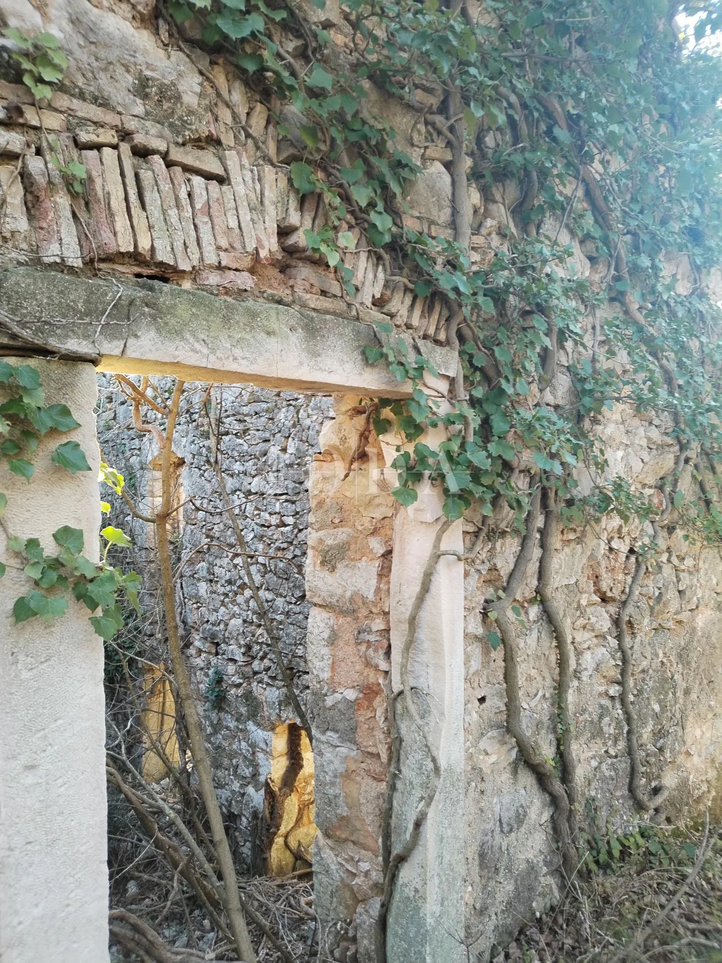 plomin, okolica, dvije ruševine sa očaravajućim pogledom na more - slika 10