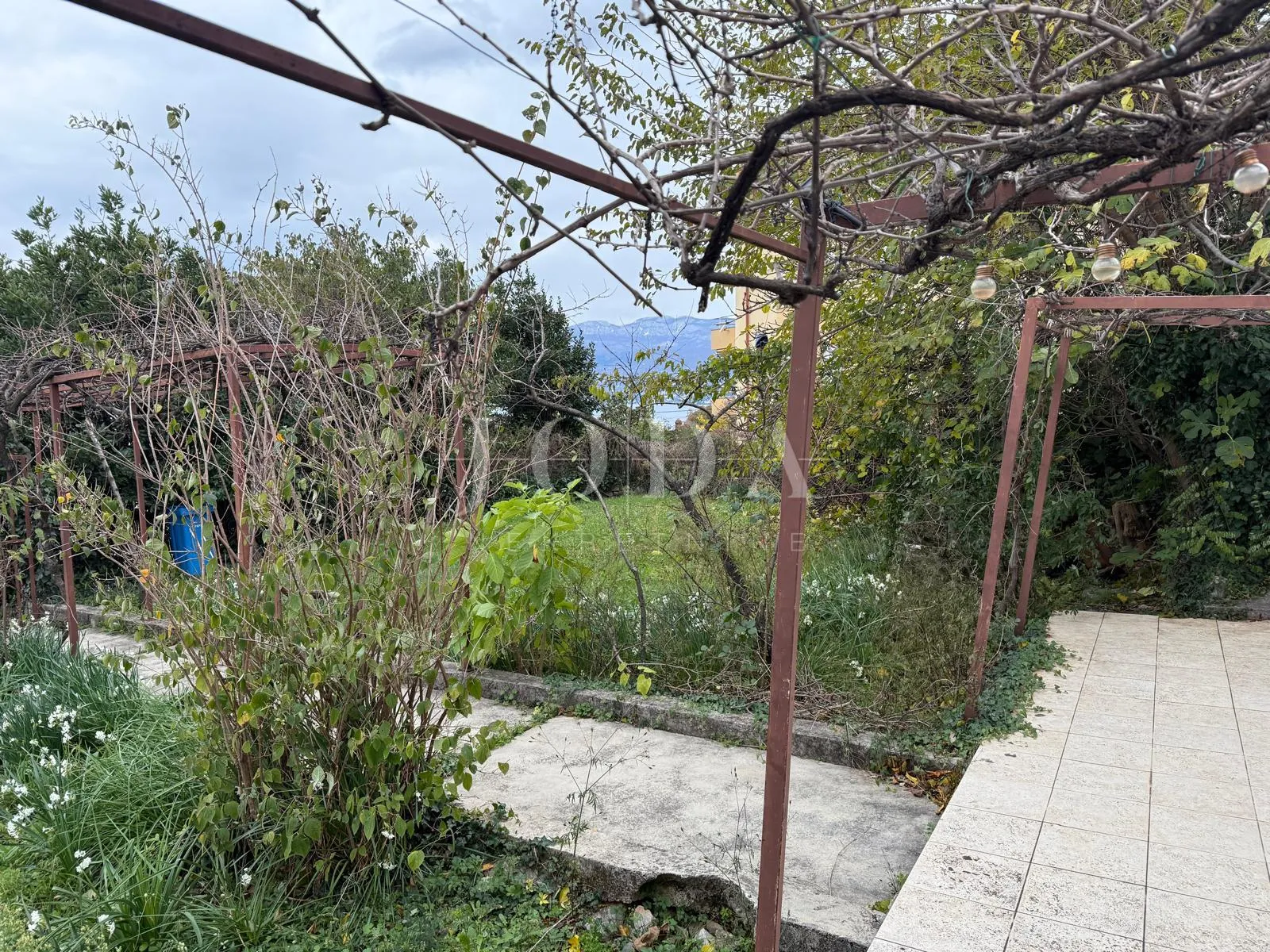 kantrida - šarmantna prizemnica s velikom okućnicom - slika 4