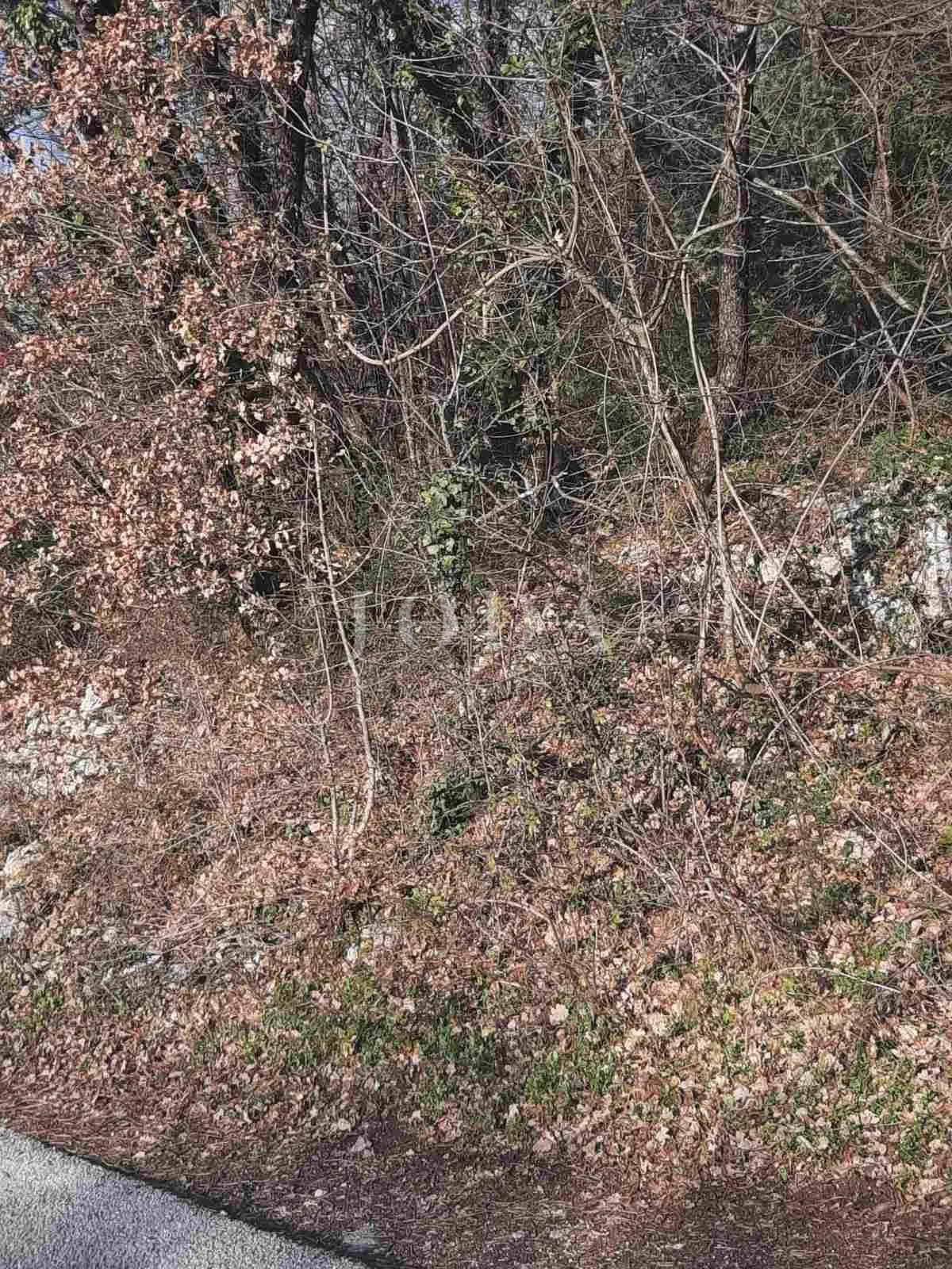 labin, okolica, građevinsko zemljište na traženoj lokaciji - slika 6