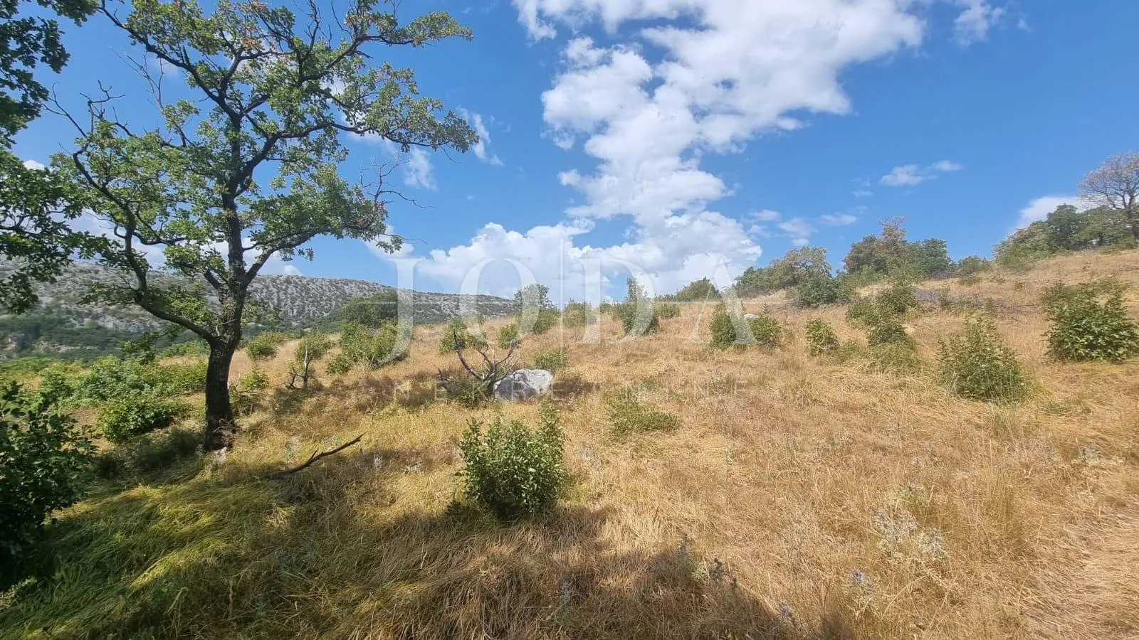 građevinsko zemljište 12000m2 u bribiru sa pogledom na more - slika 3