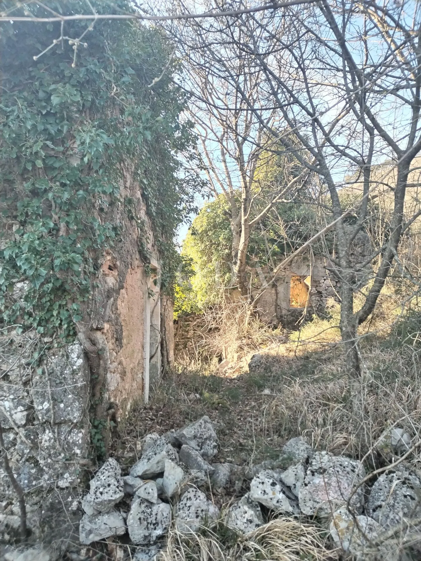 plomin, okolica, dvije ruševine sa očaravajućim pogledom na more - slika 6