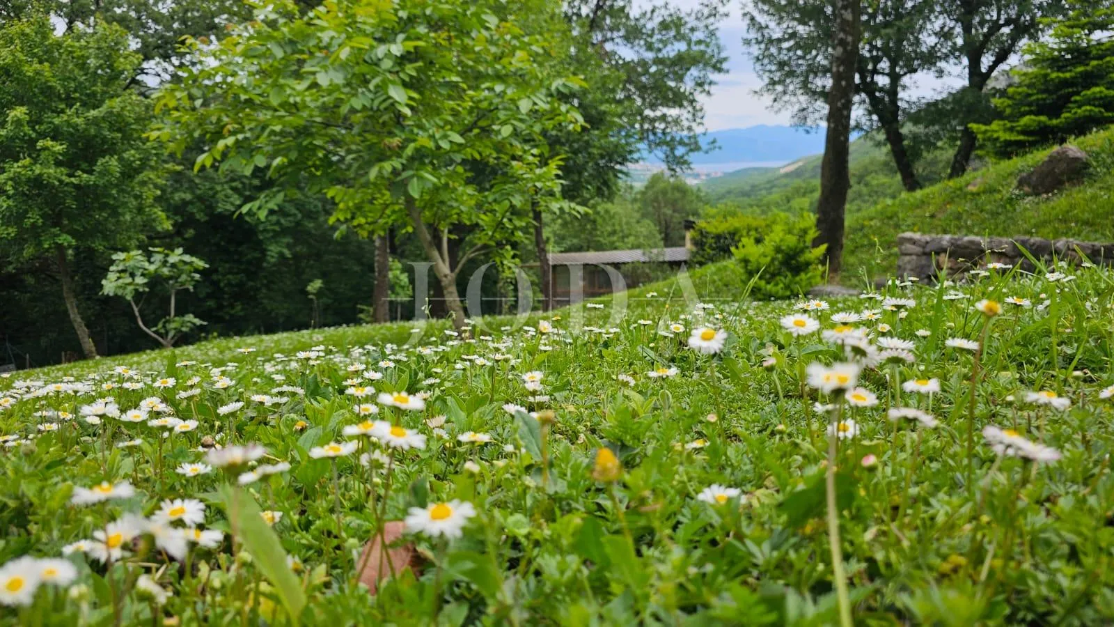 kuća sa 3000m2 zemljišta - slika 19