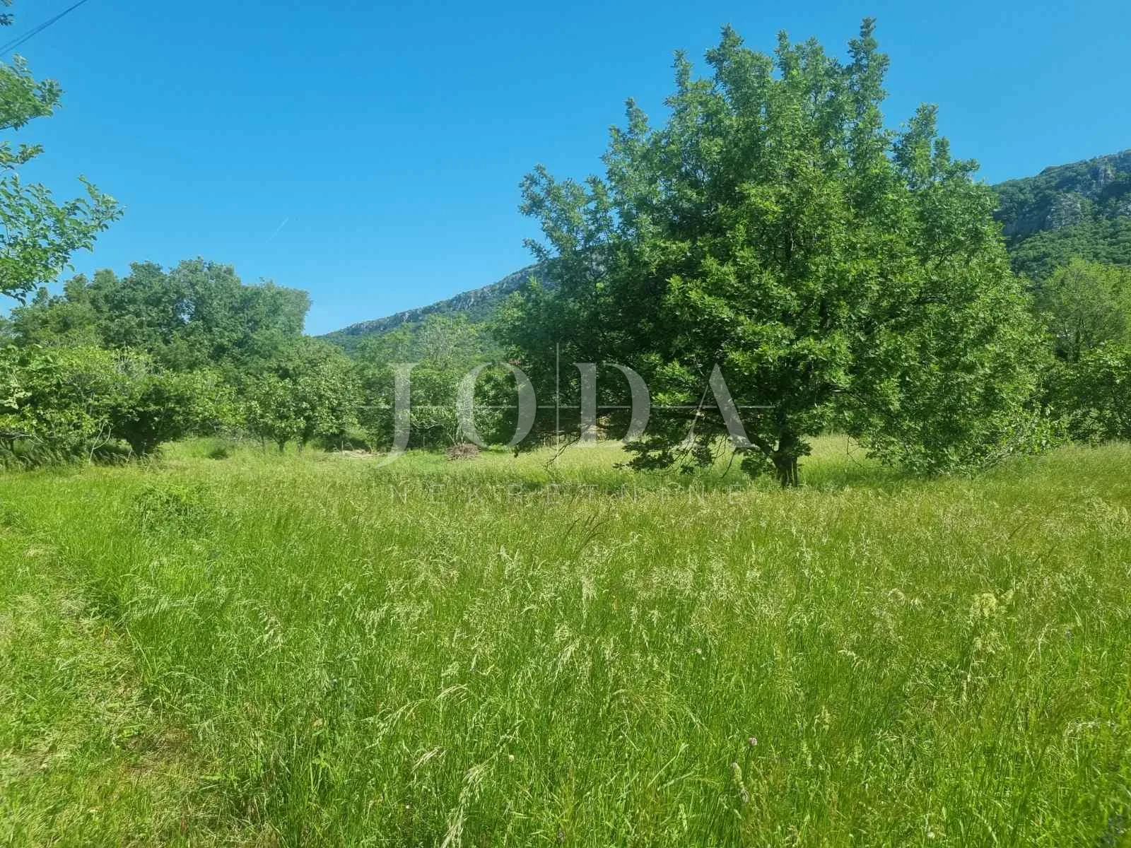 BRIBIR, građevinski teren sa tri ucrtana objekta - Bribir, Vinodolska općina