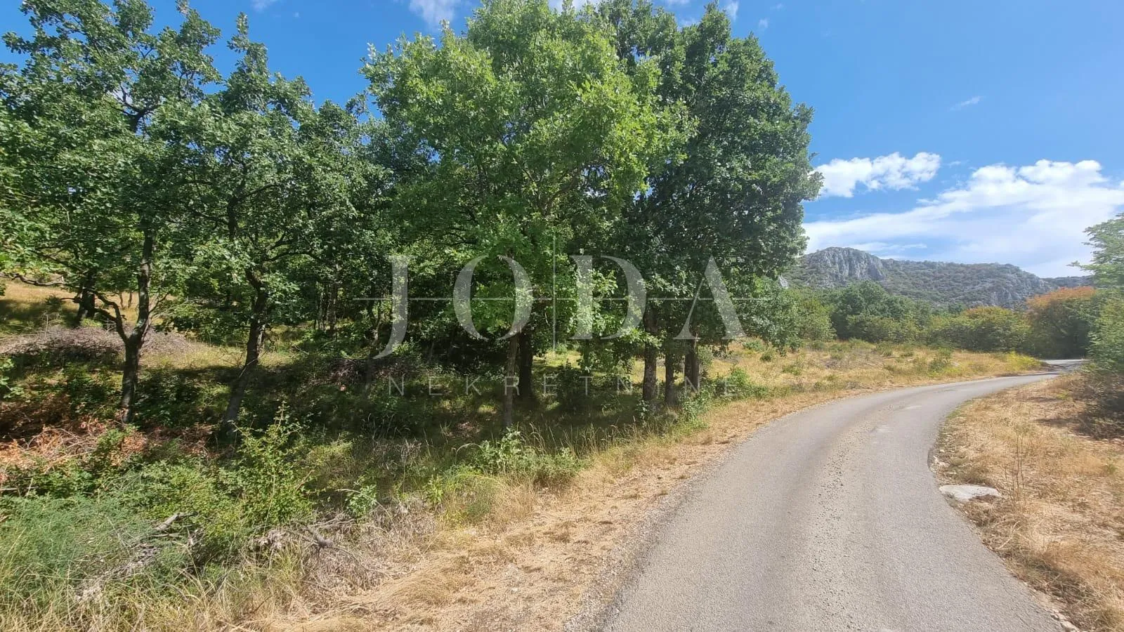 građevinsko zemljište 12000m2 u bribiru sa pogledom na more - slika 2
