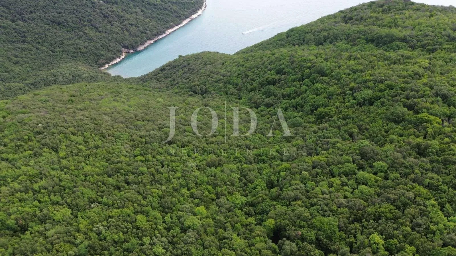 prekrasno zemljište šuma 65.700m2,labin okolica - slika 3