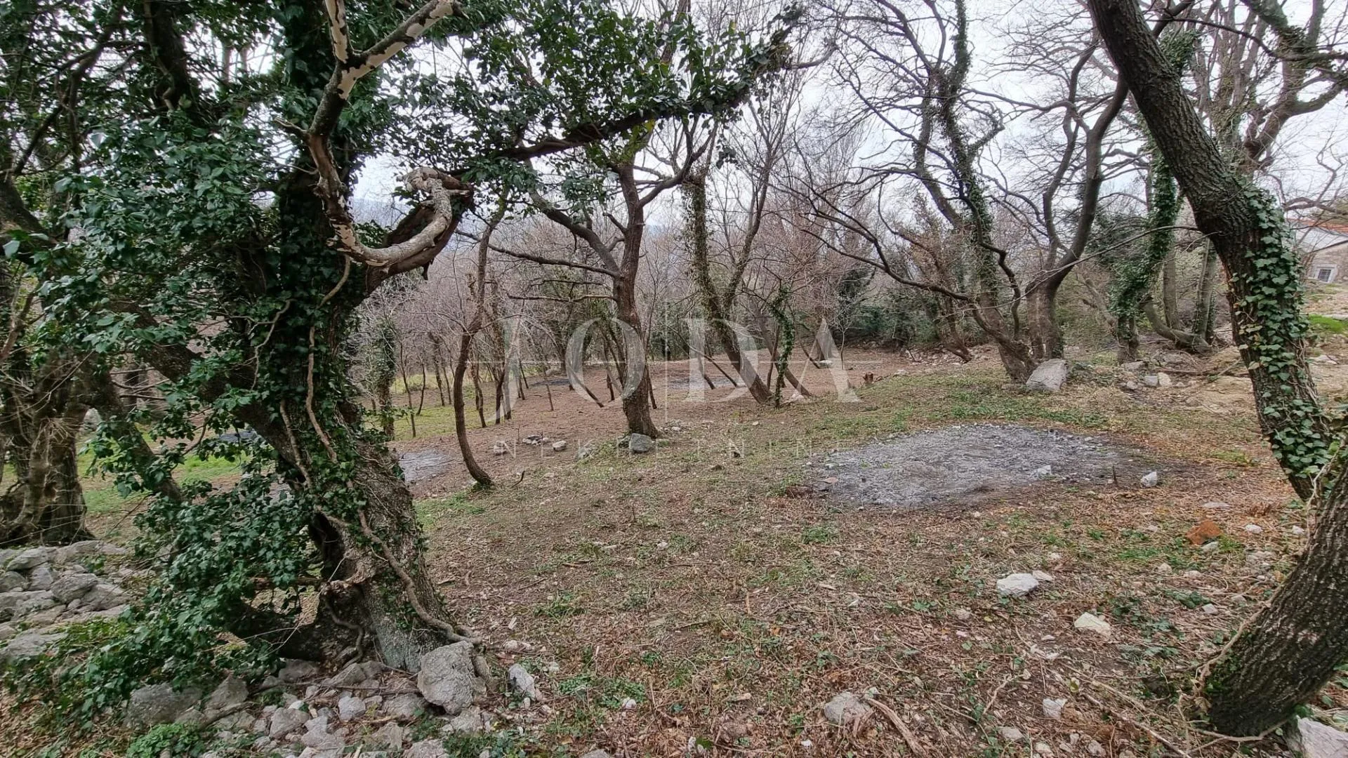 grižane teren 1100 m2 - slika 2